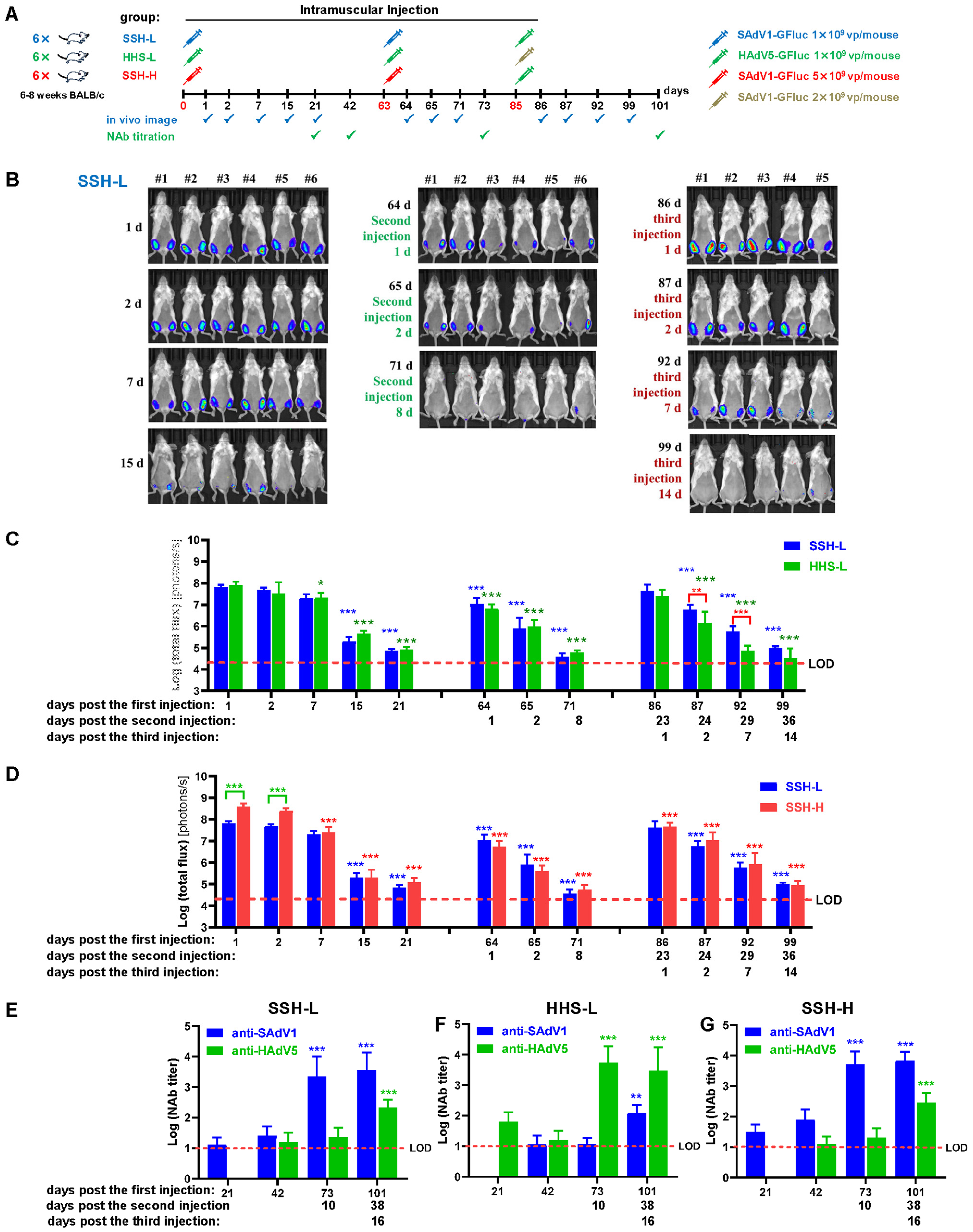Viruses 16 00550 g005