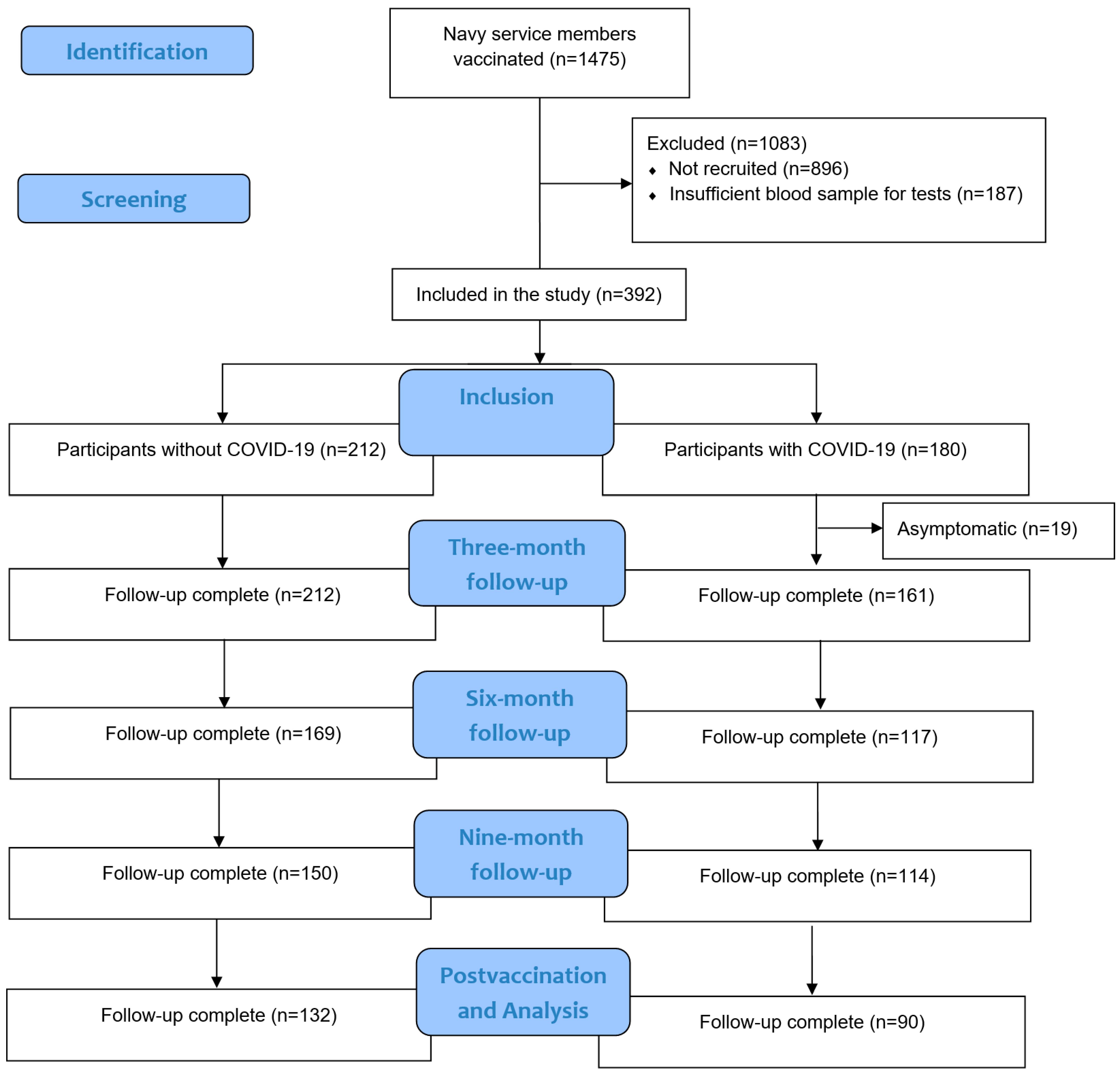 Viruses 16 00551 g001