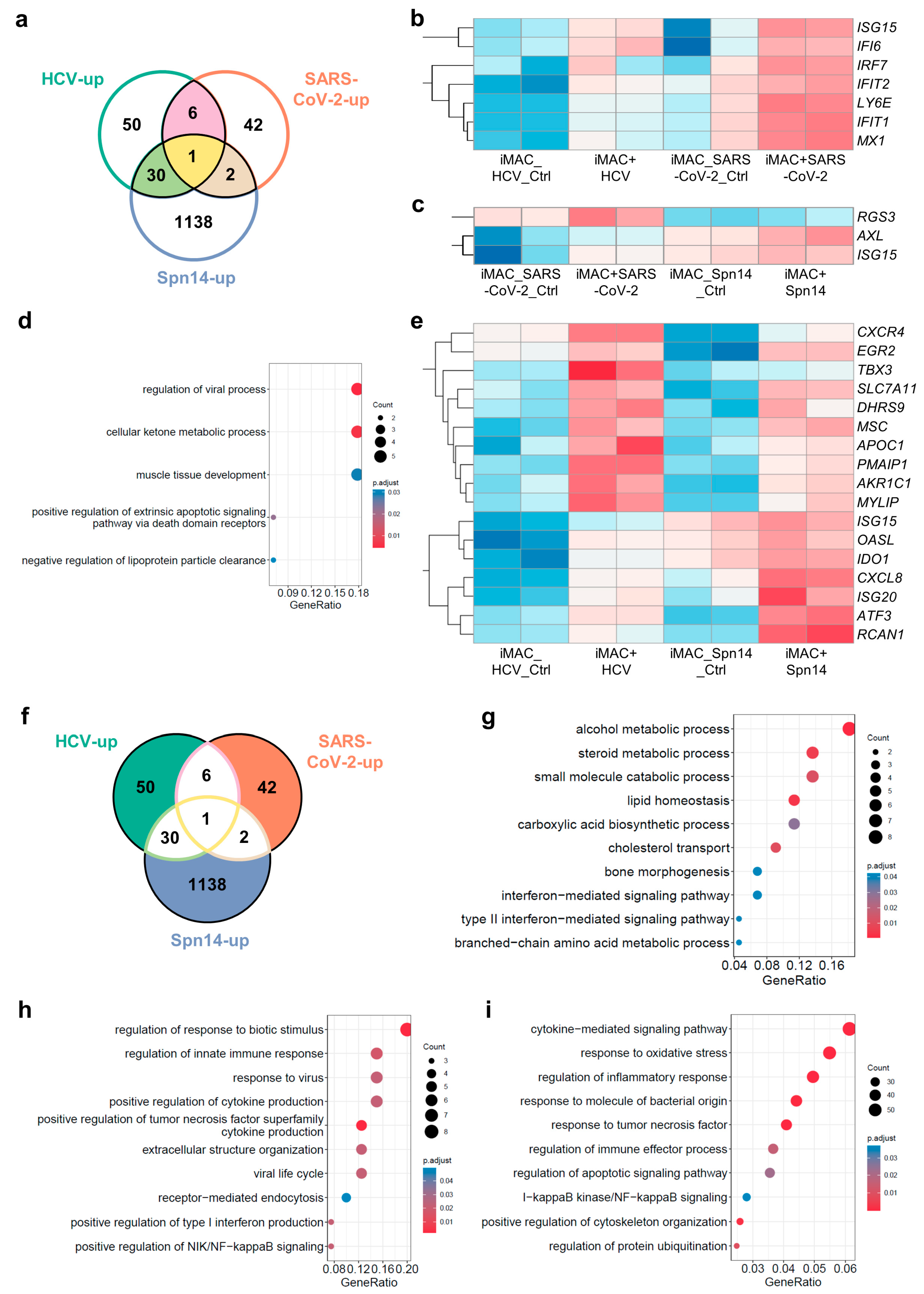 Viruses 16 00552 g003