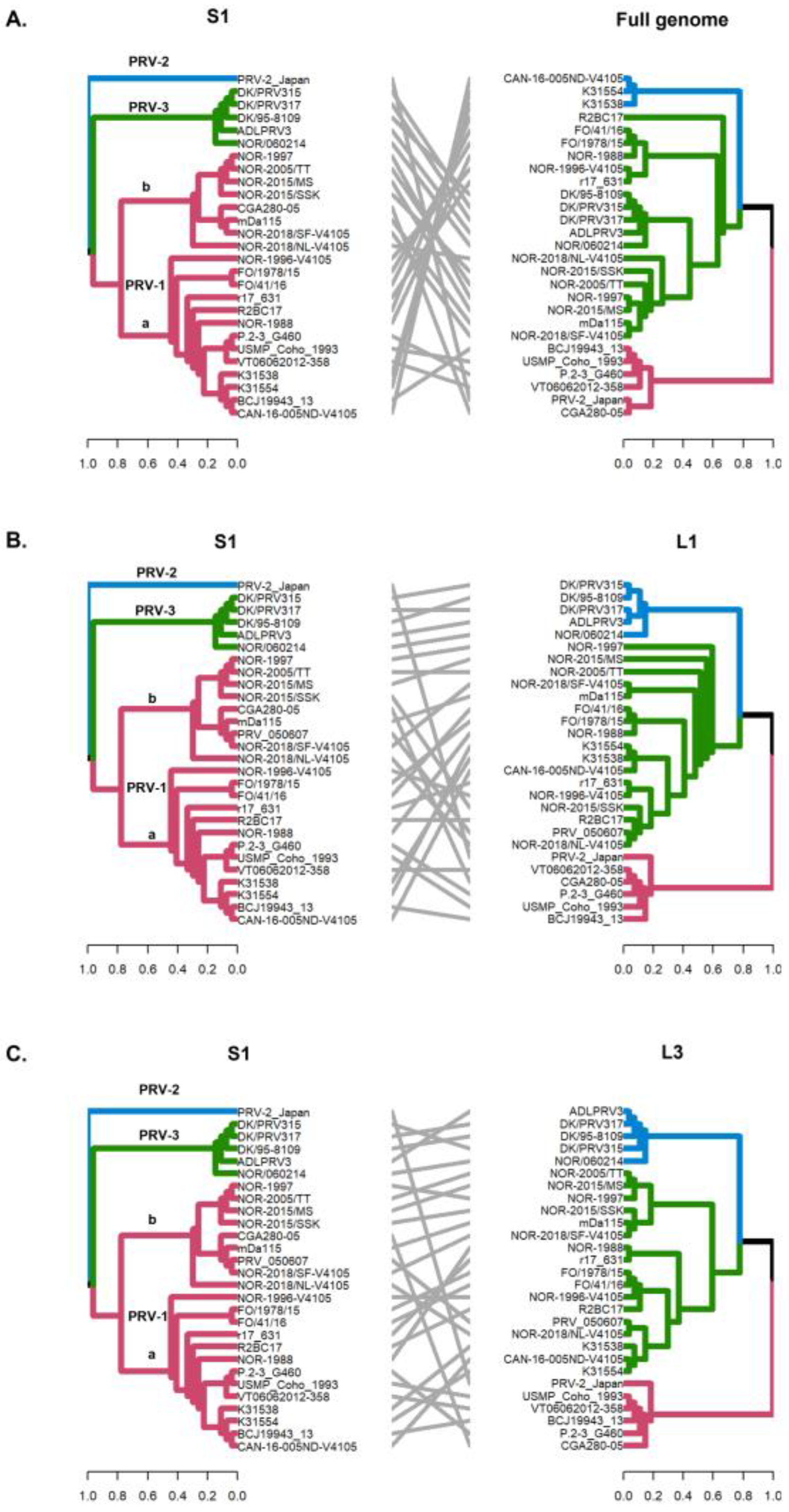 Viruses 16 00556 g004