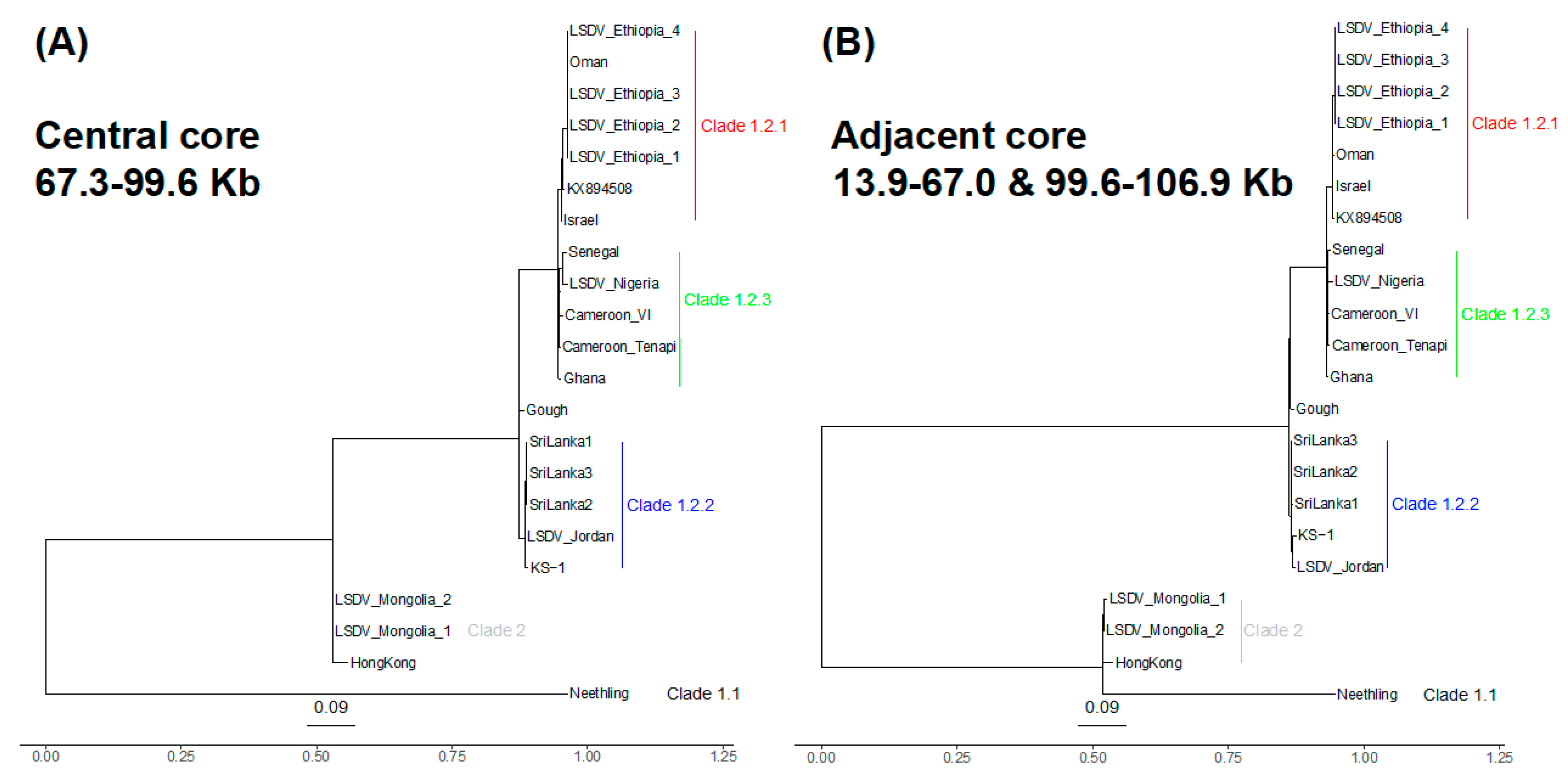 Viruses 16 00557 g002