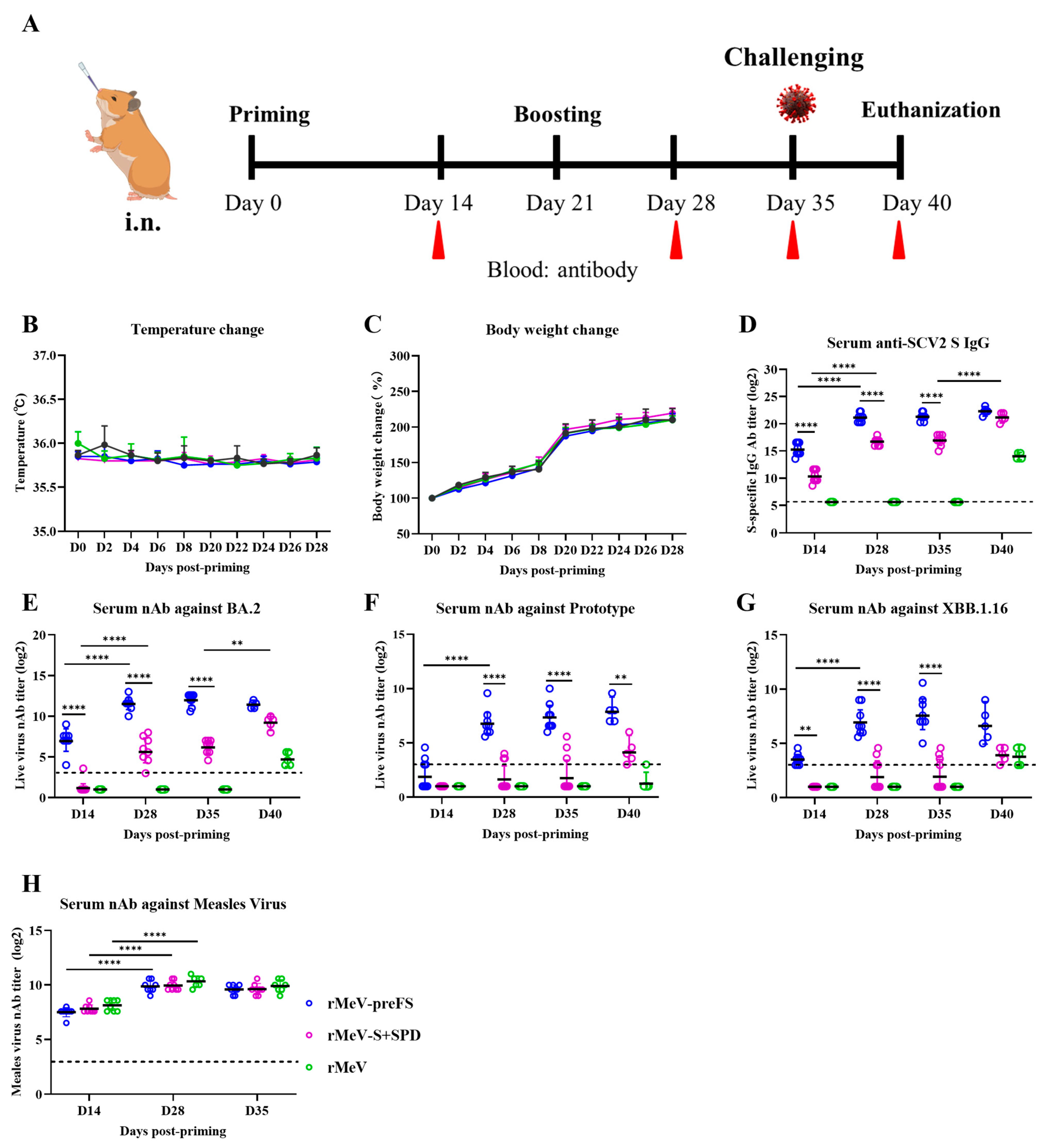 Viruses 16 00559 g005