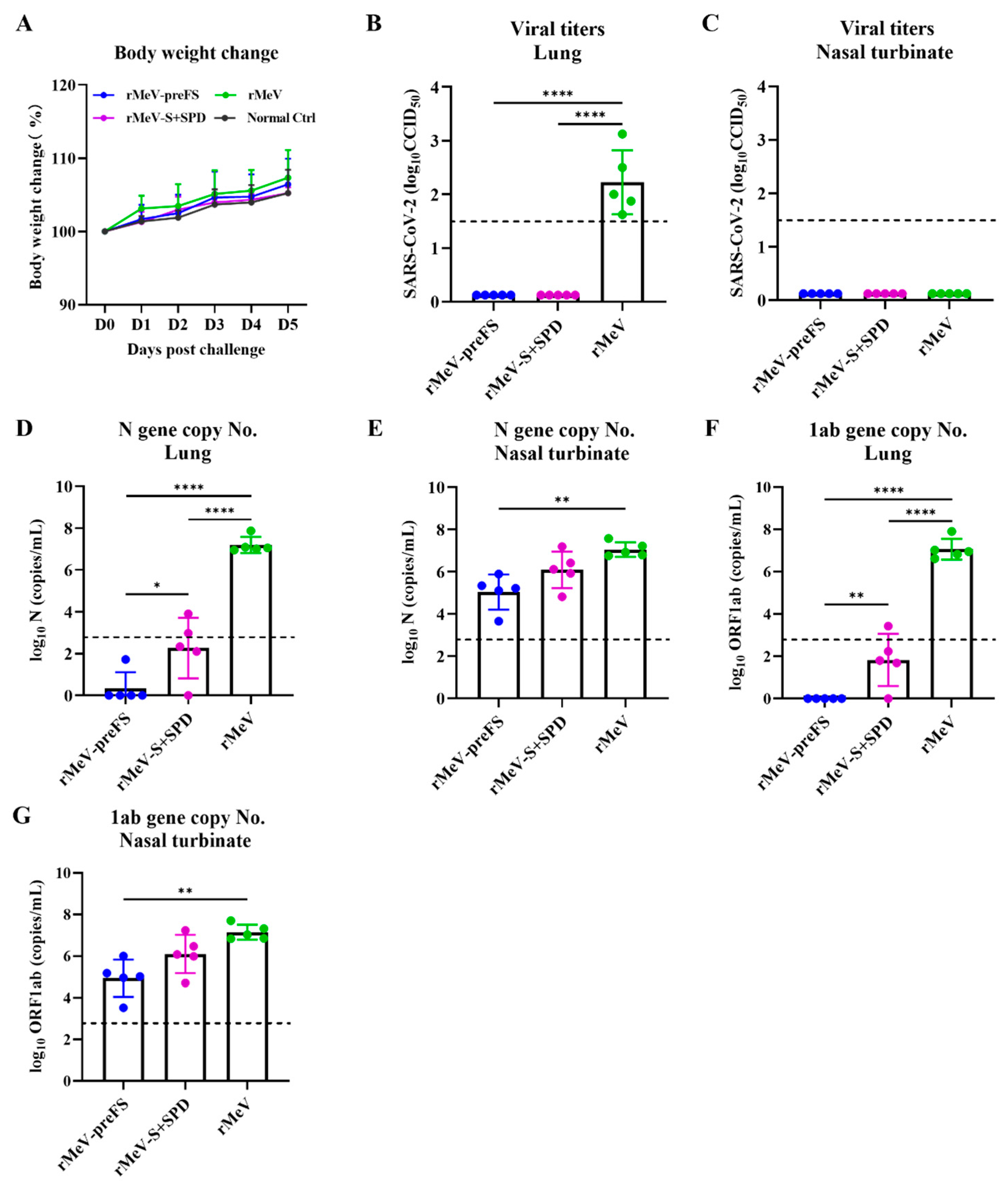 Viruses 16 00559 g006