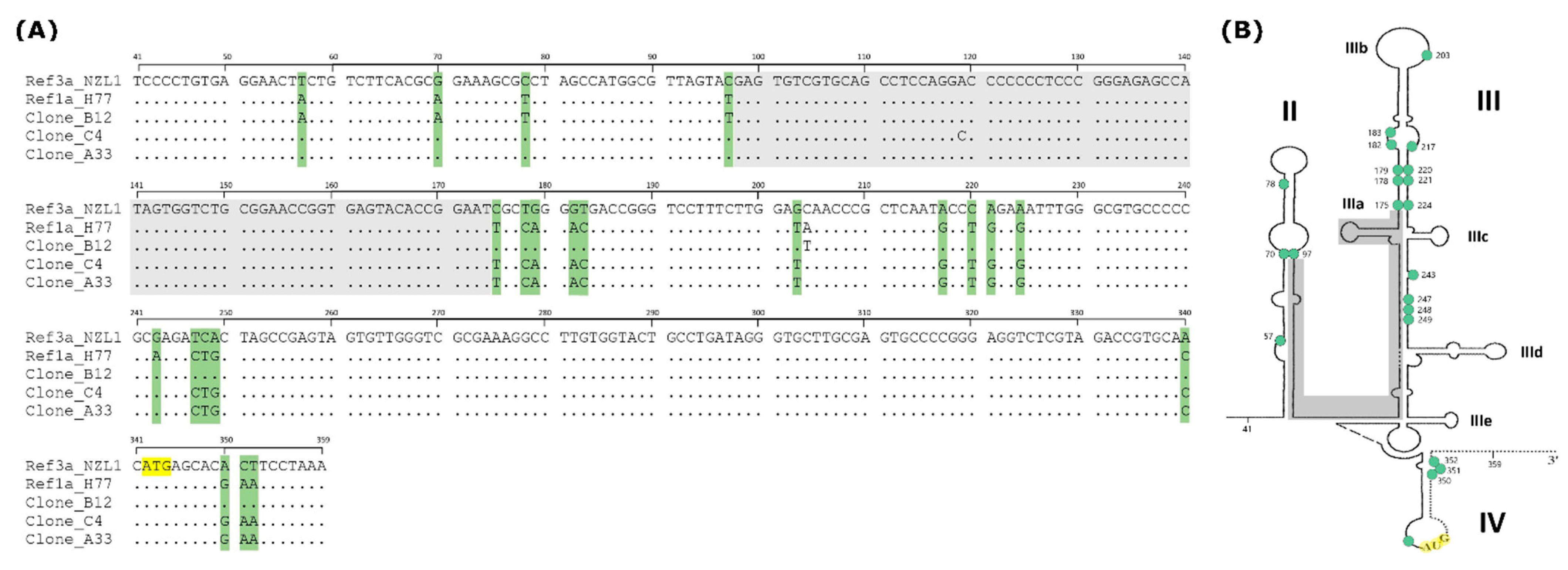 Viruses 16 00560 g002