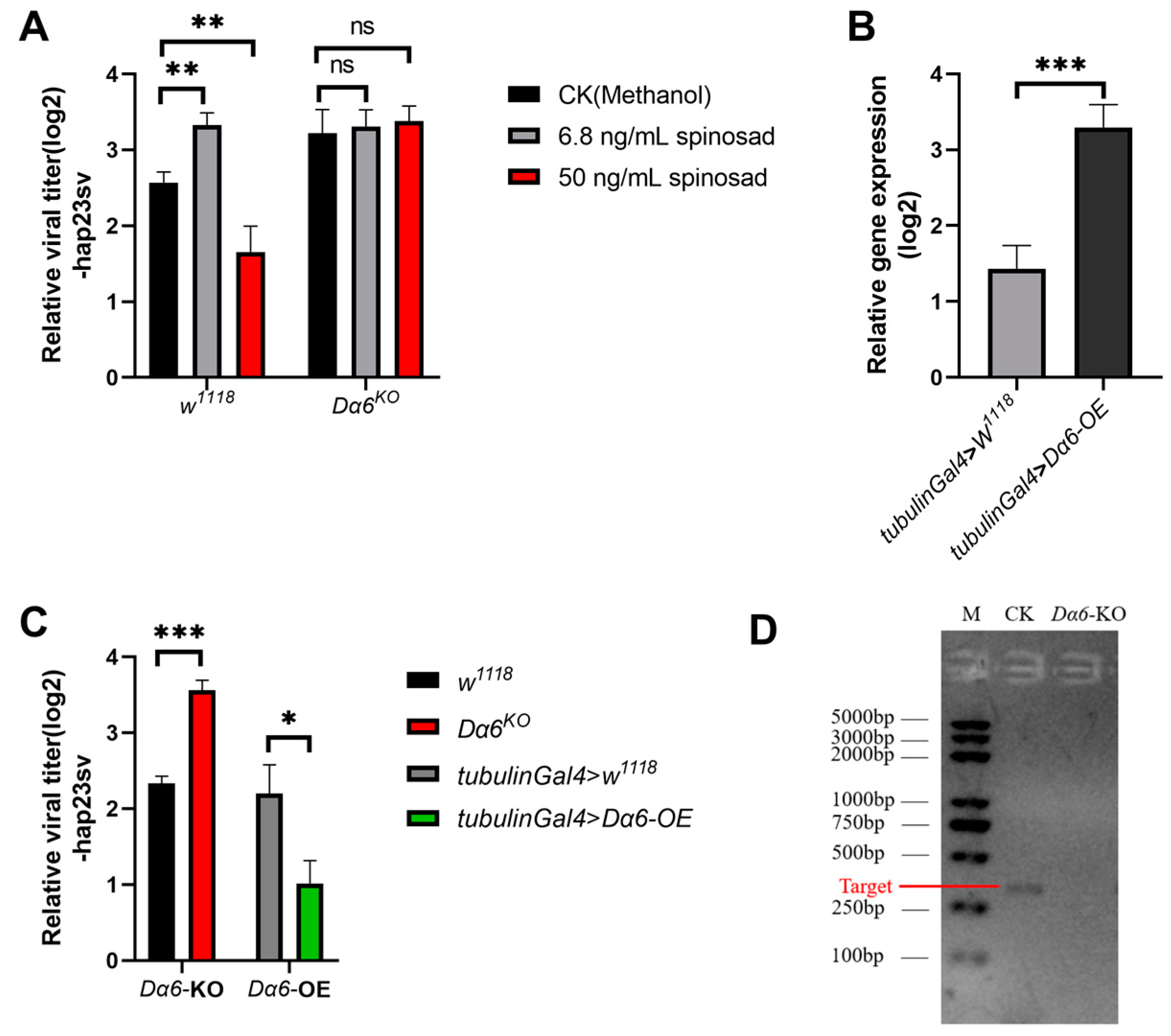 Viruses 16 00562 g001