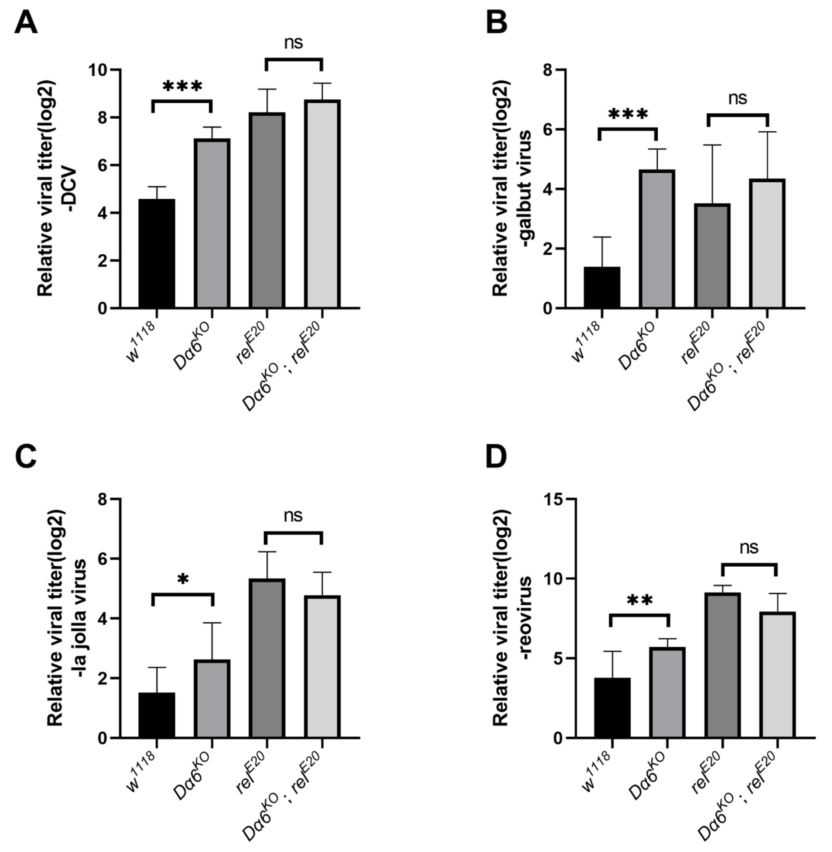 Viruses 16 00562 g004