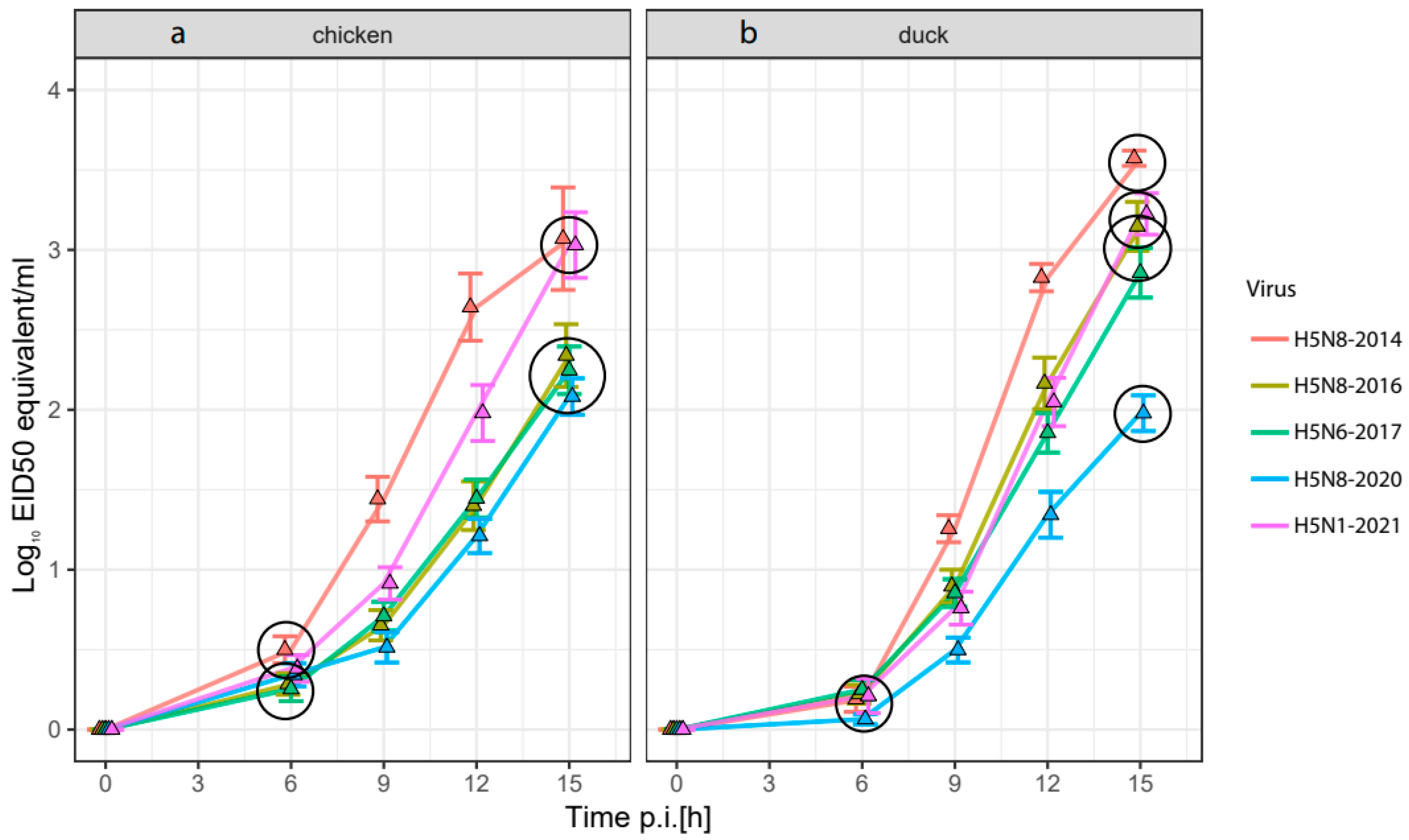 Viruses 16 00563 g002