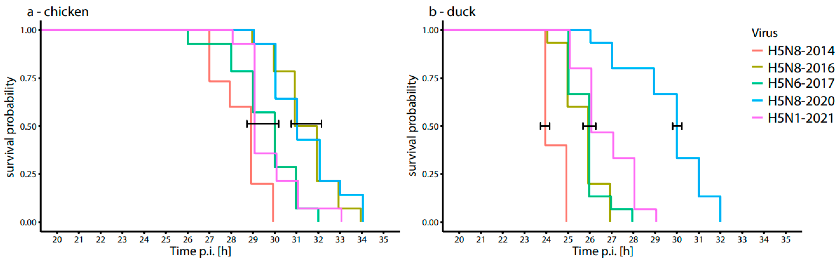 Viruses 16 00563 g003