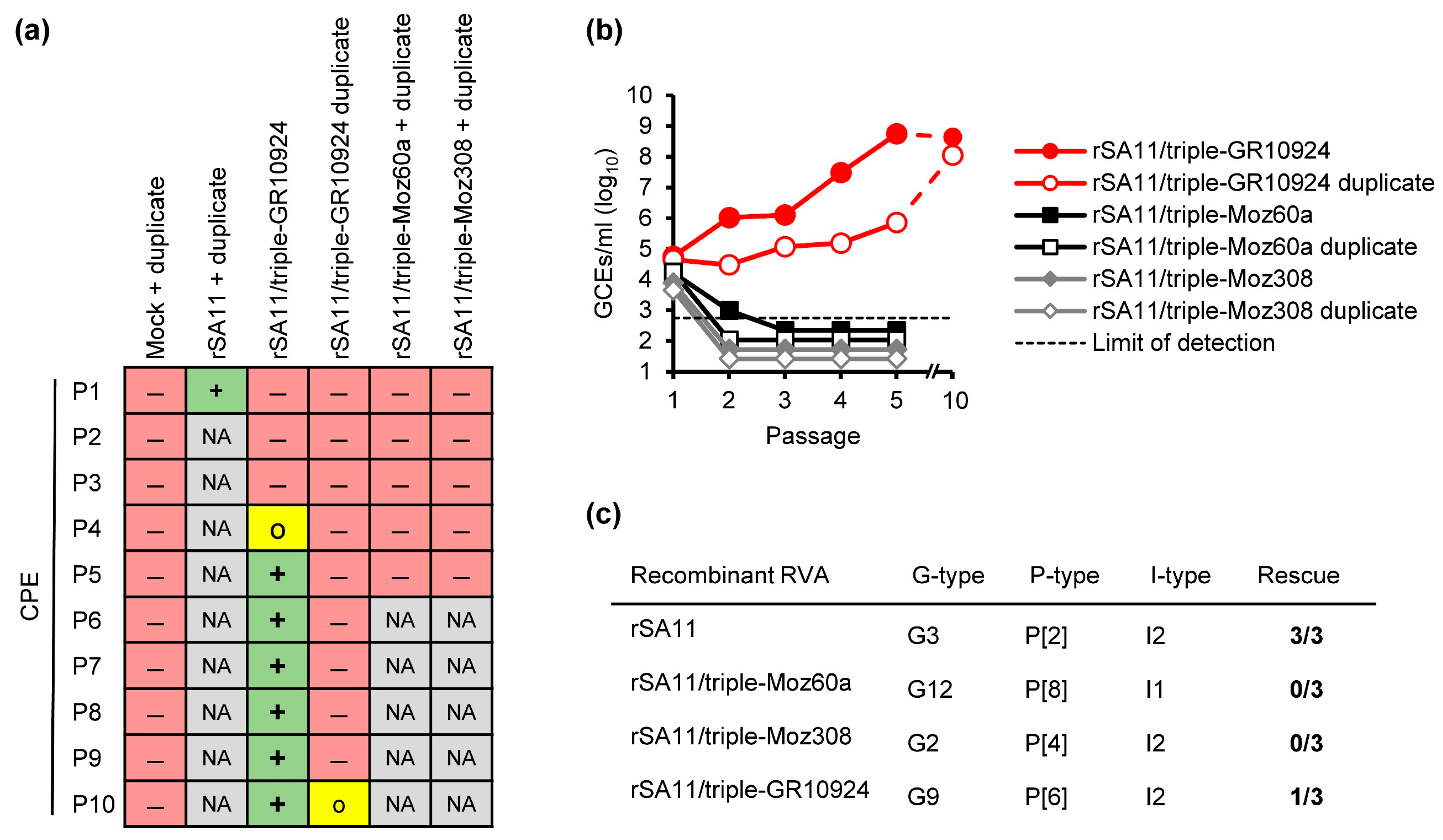 Viruses 16 00565 g001 Viruses 16 00565 g001