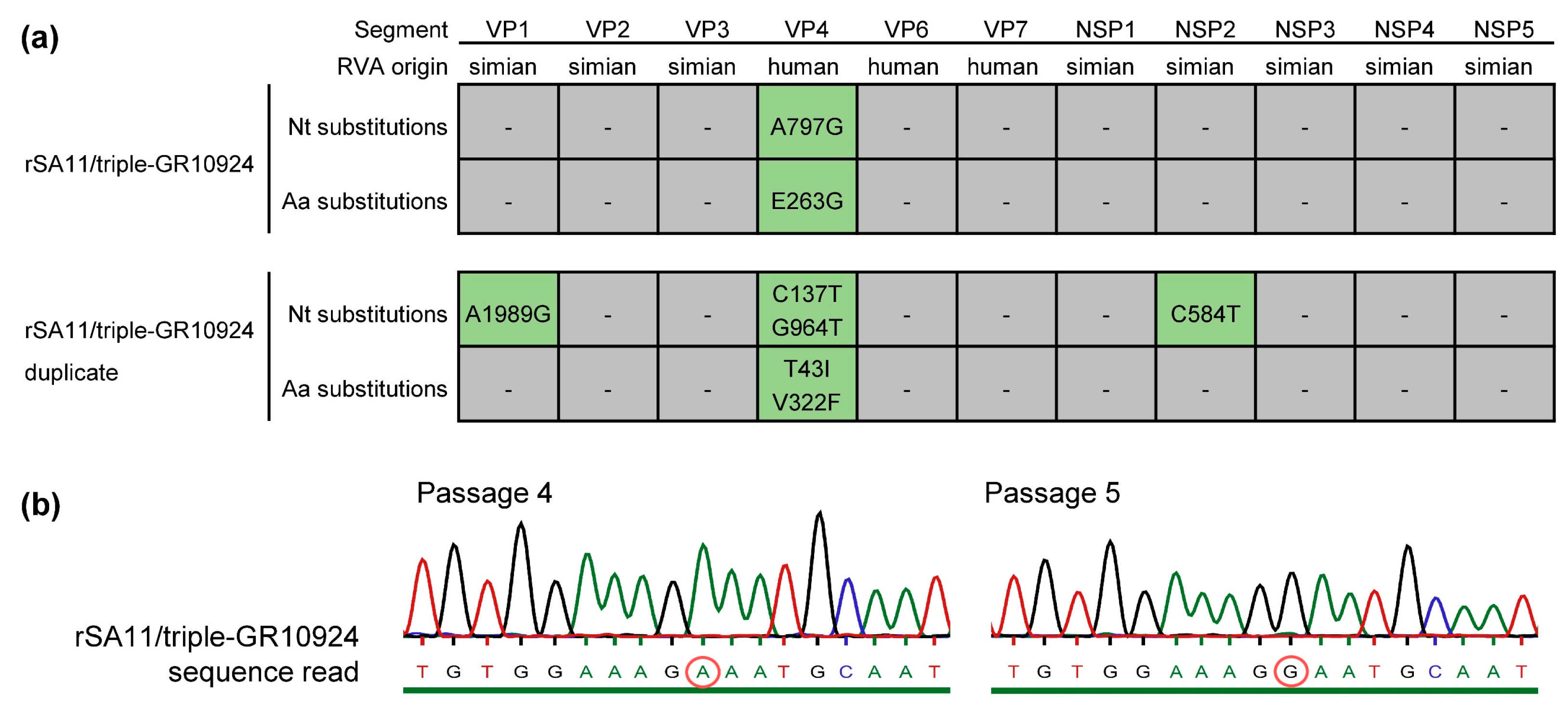 Viruses 16 00565 g002 Viruses 16 00565 g002
