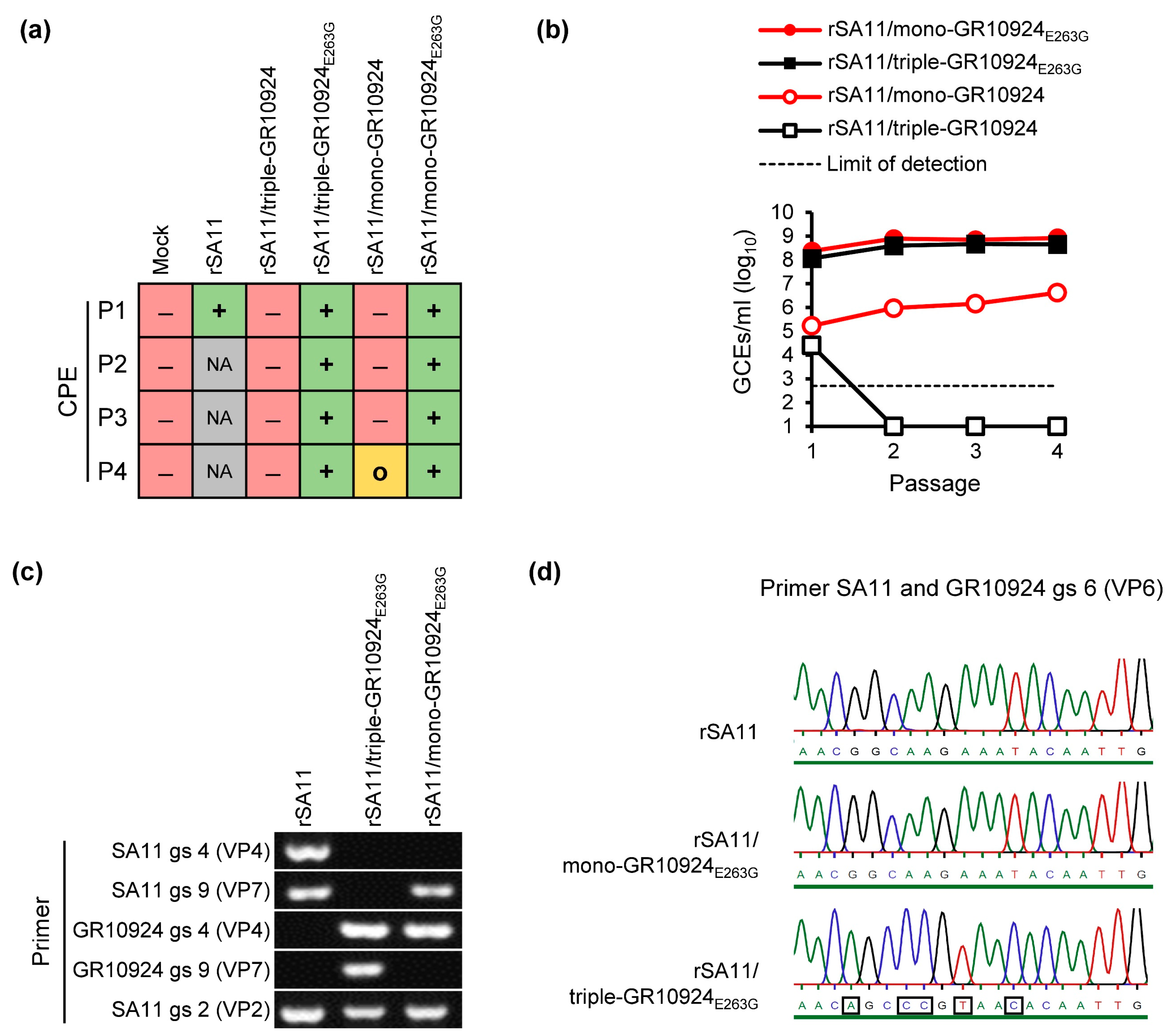 Viruses 16 00565 g003 Viruses 16 00565 g003