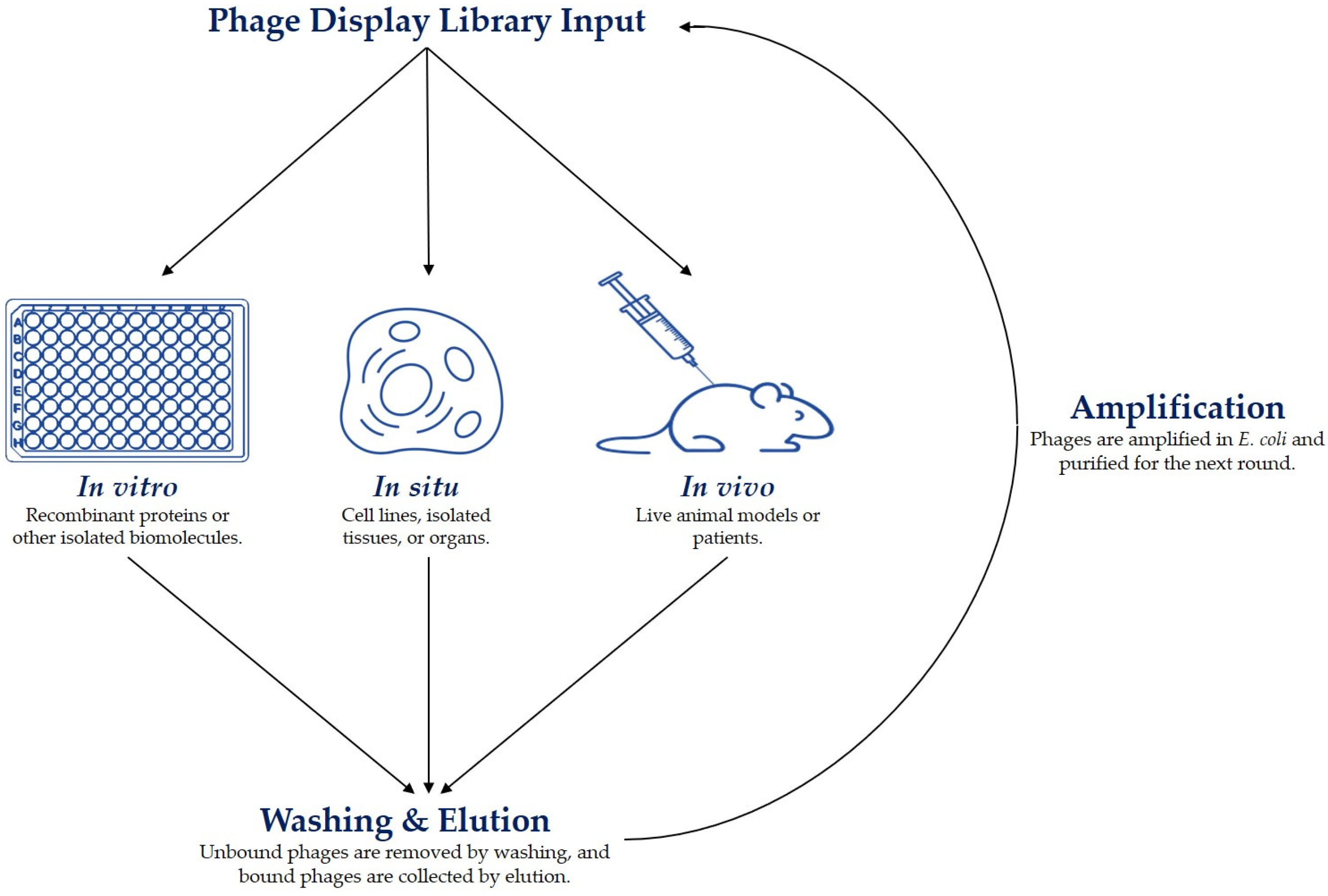 Viruses 16 00570 g001 Viruses 16 00570 g001