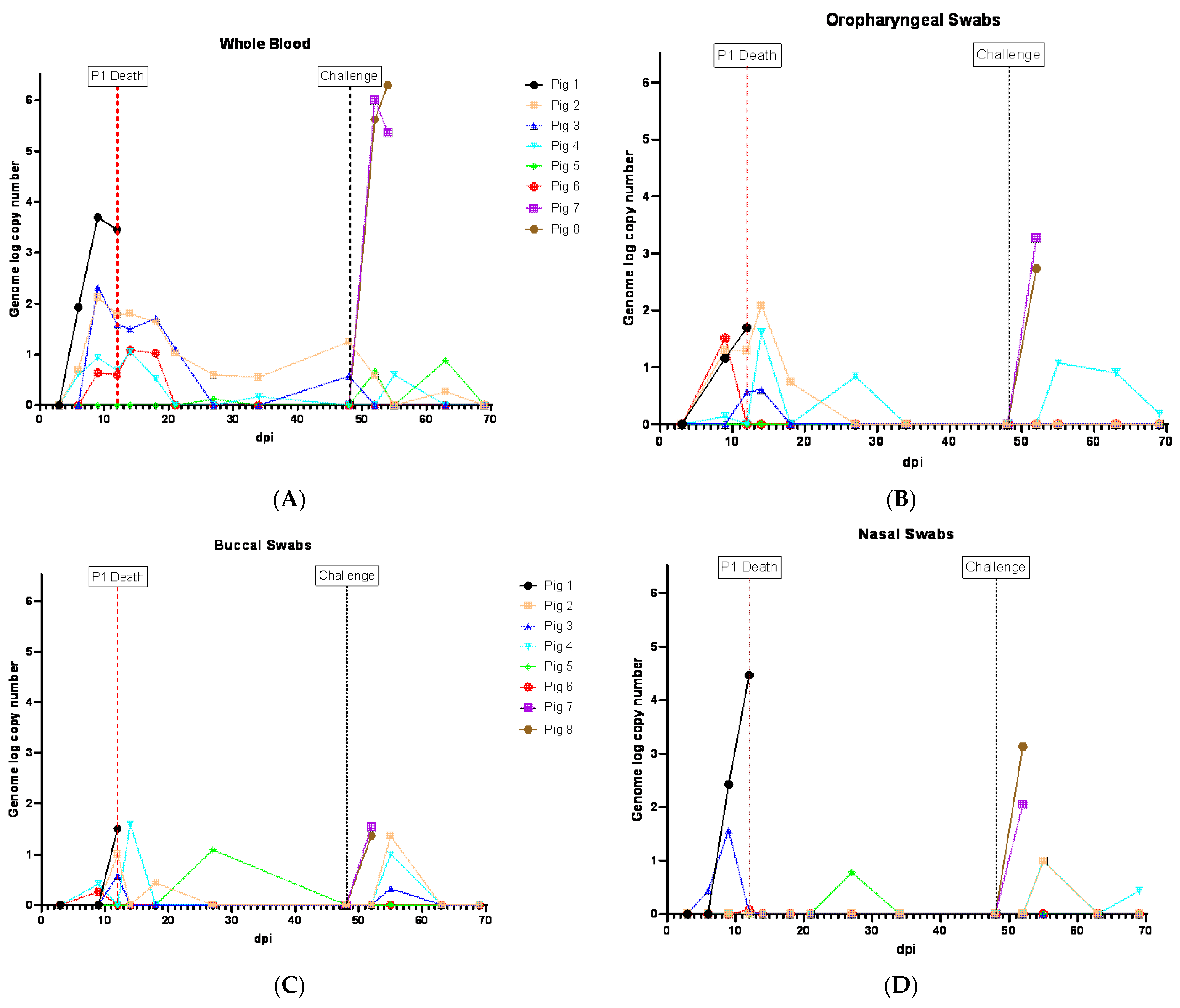 Viruses 16 00571 g003a
