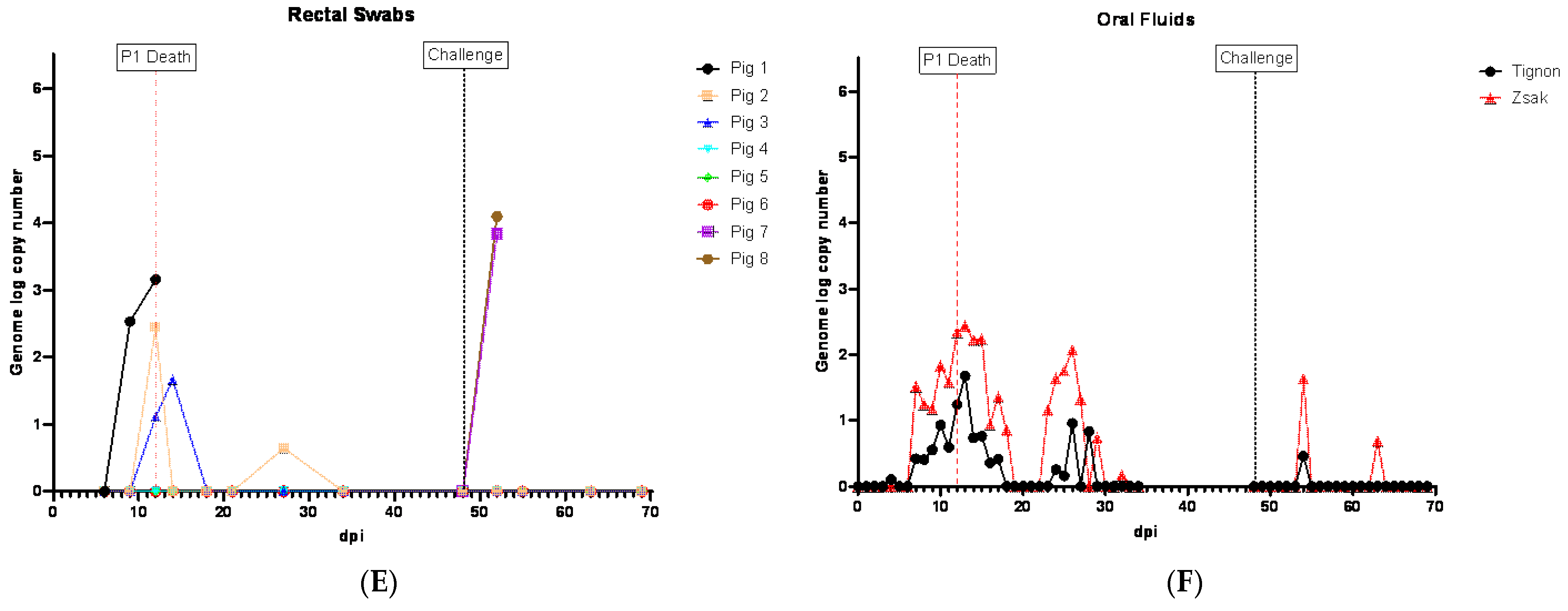 Viruses 16 00571 g003b
