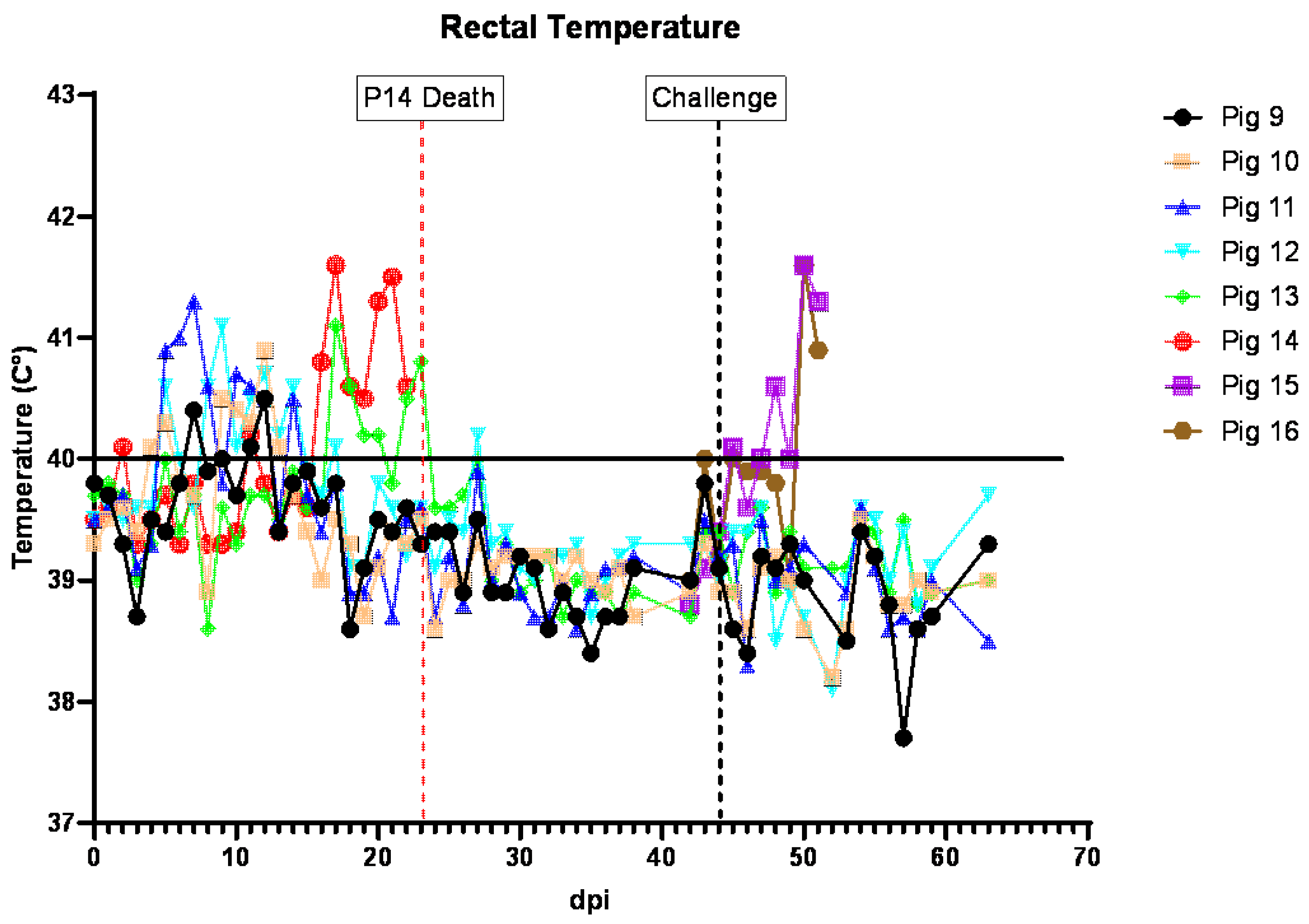 Viruses 16 00571 g005