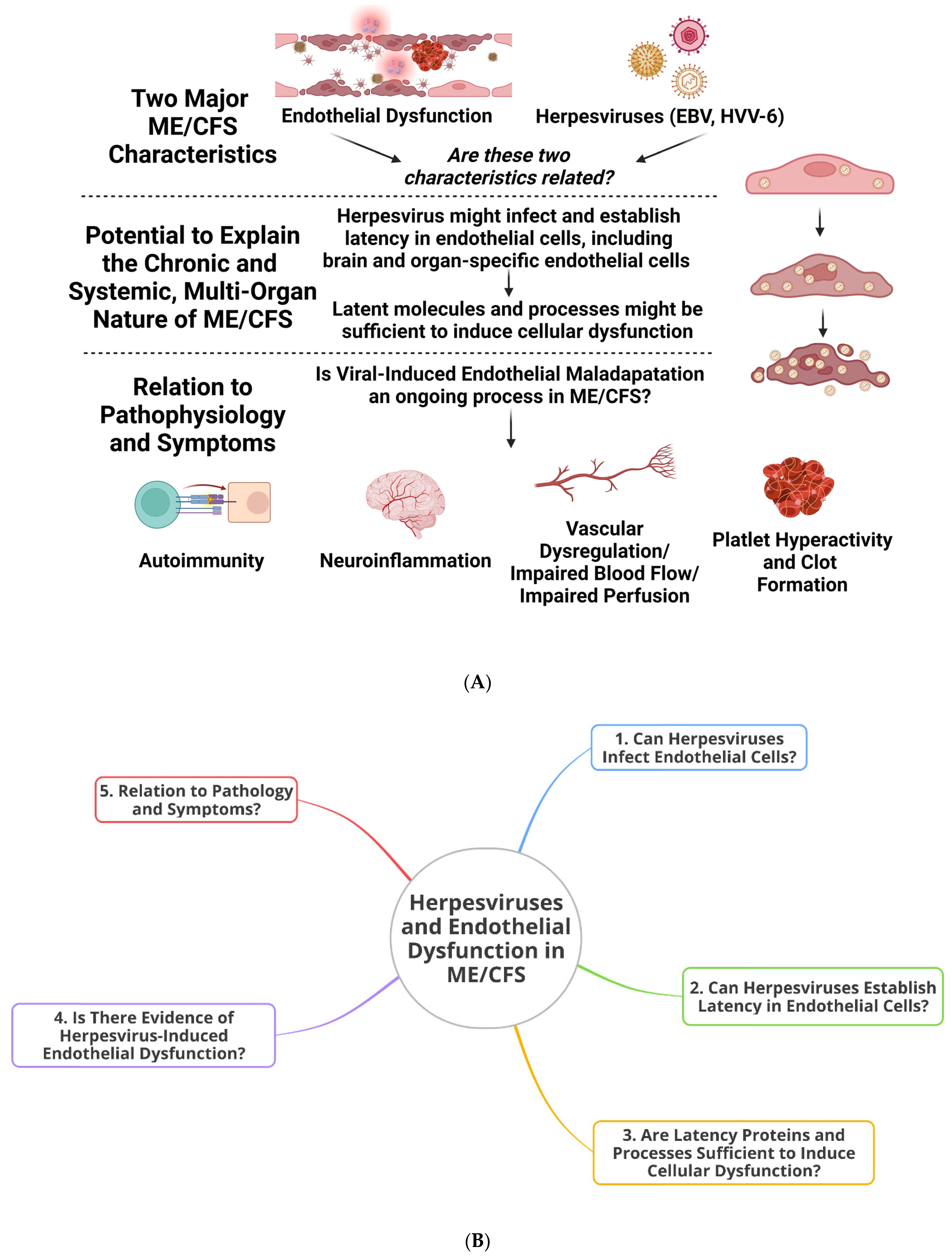 Viruses 16 00572 g001 Viruses 16 00572 g001
