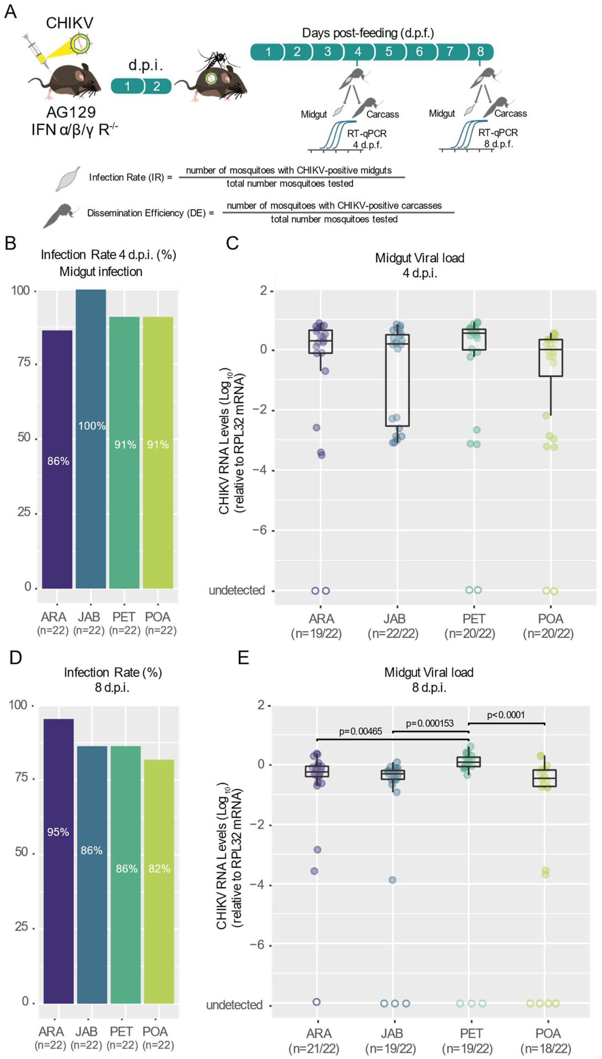 Viruses 16 00575 g002
