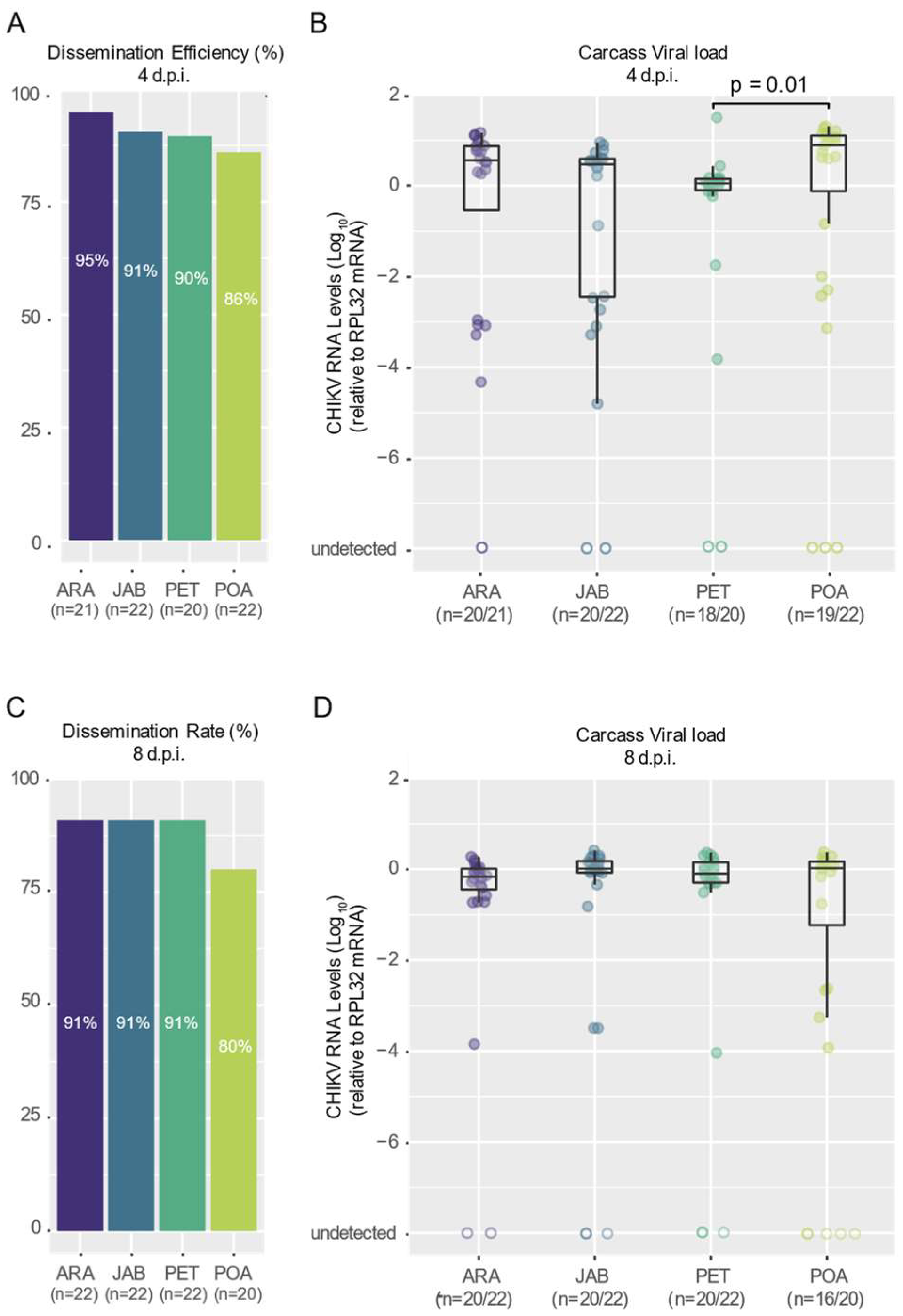 Viruses 16 00575 g003