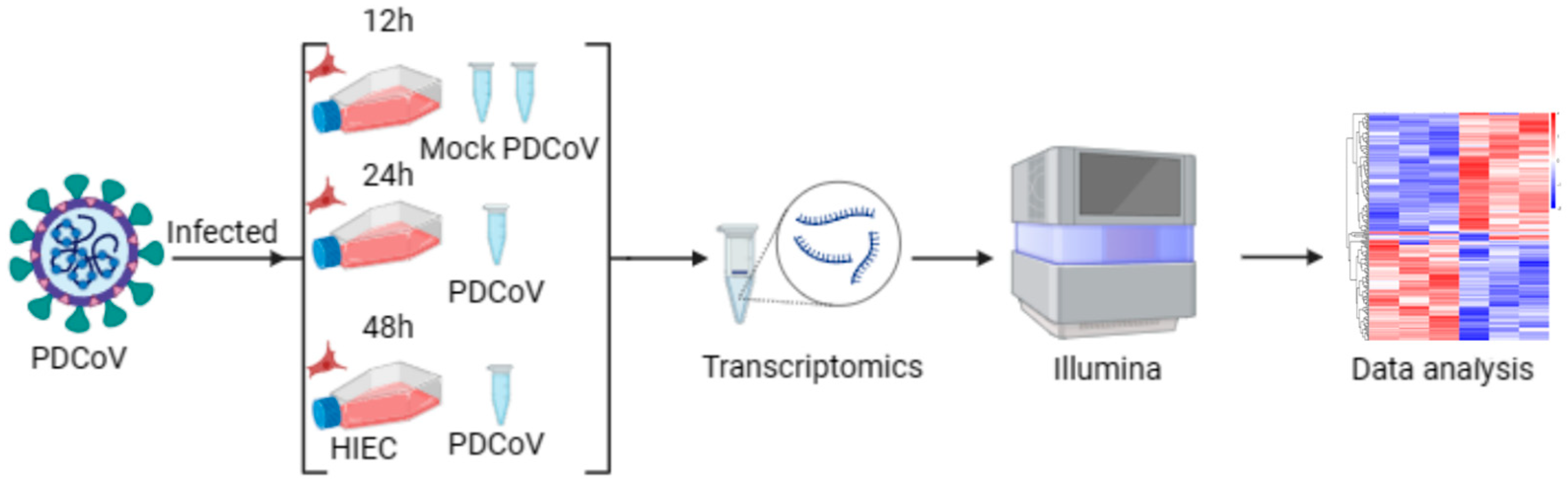 Viruses 16 00579 g003