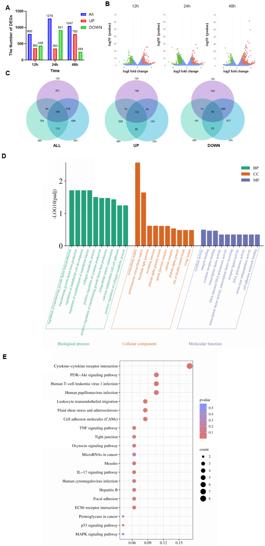 Viruses 16 00579 g004