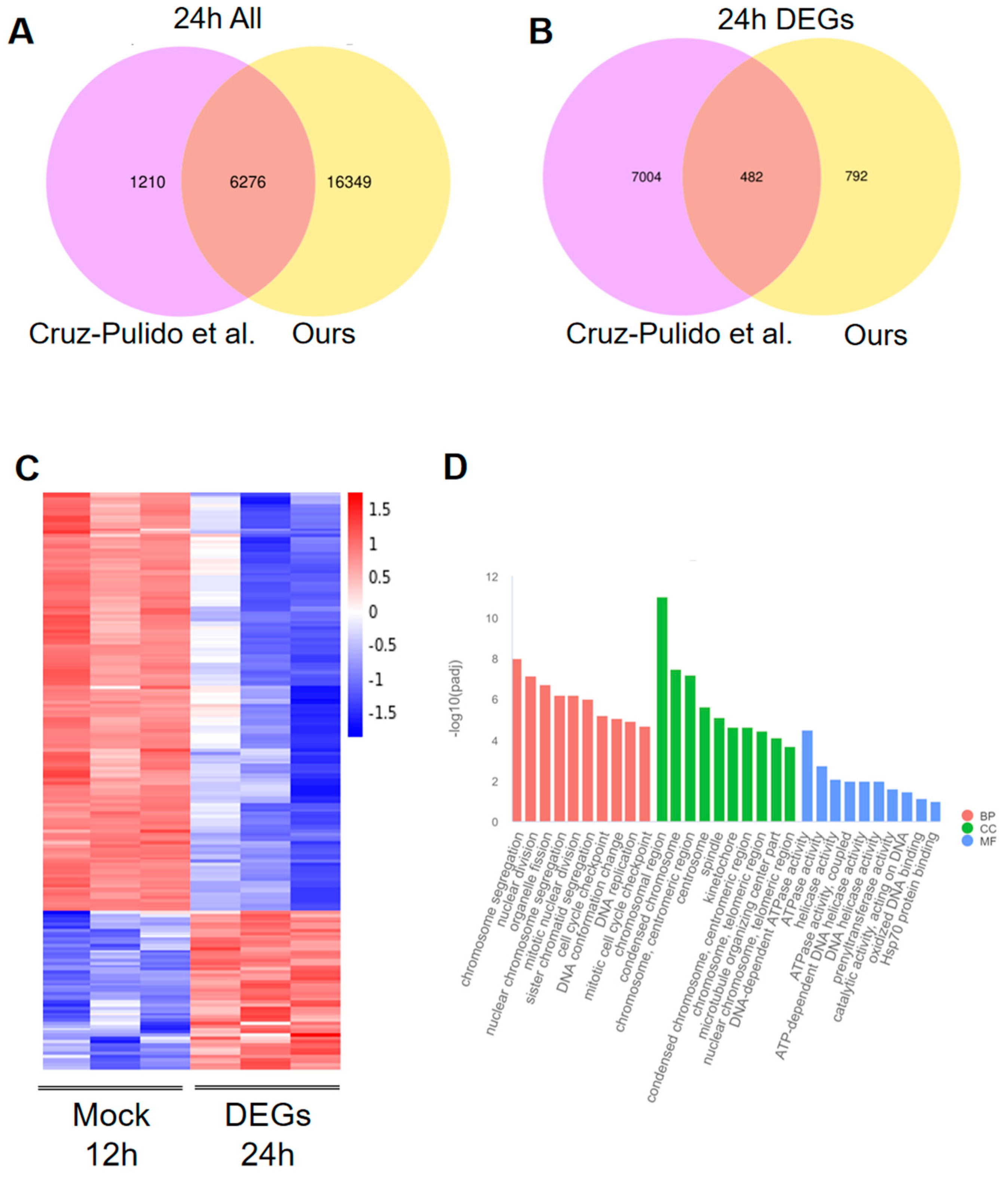 Viruses 16 00579 g006