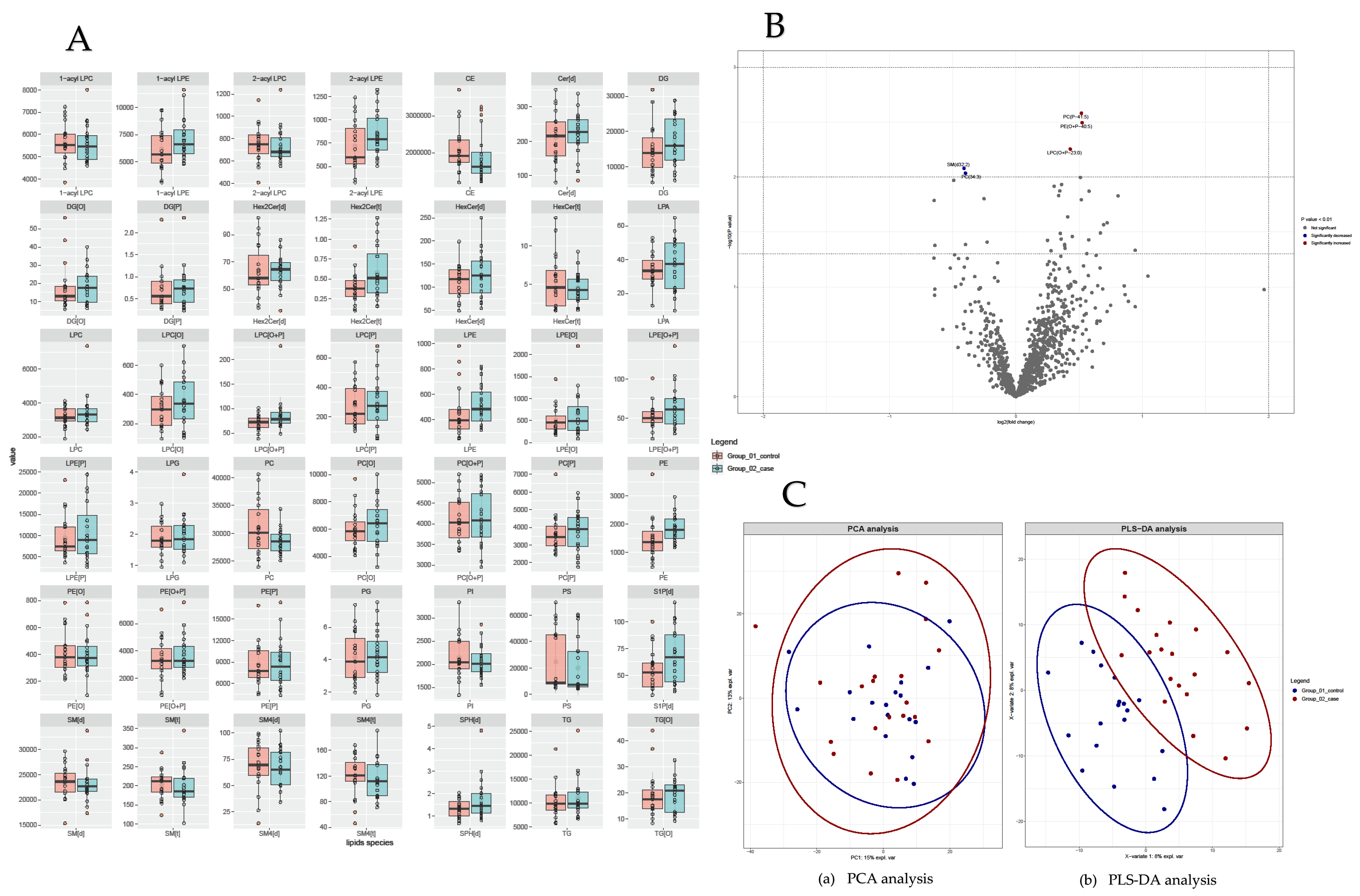 Viruses 16 00580 g001