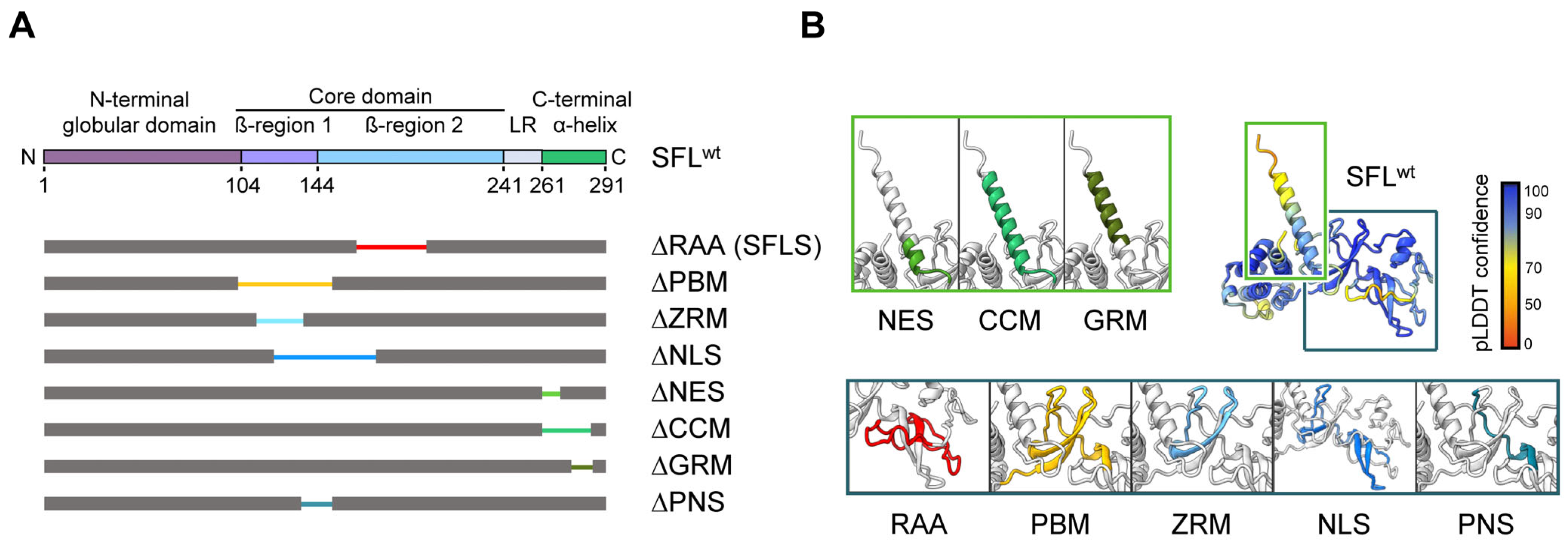 Viruses 16 00583 g001 Viruses 16 00583 g001