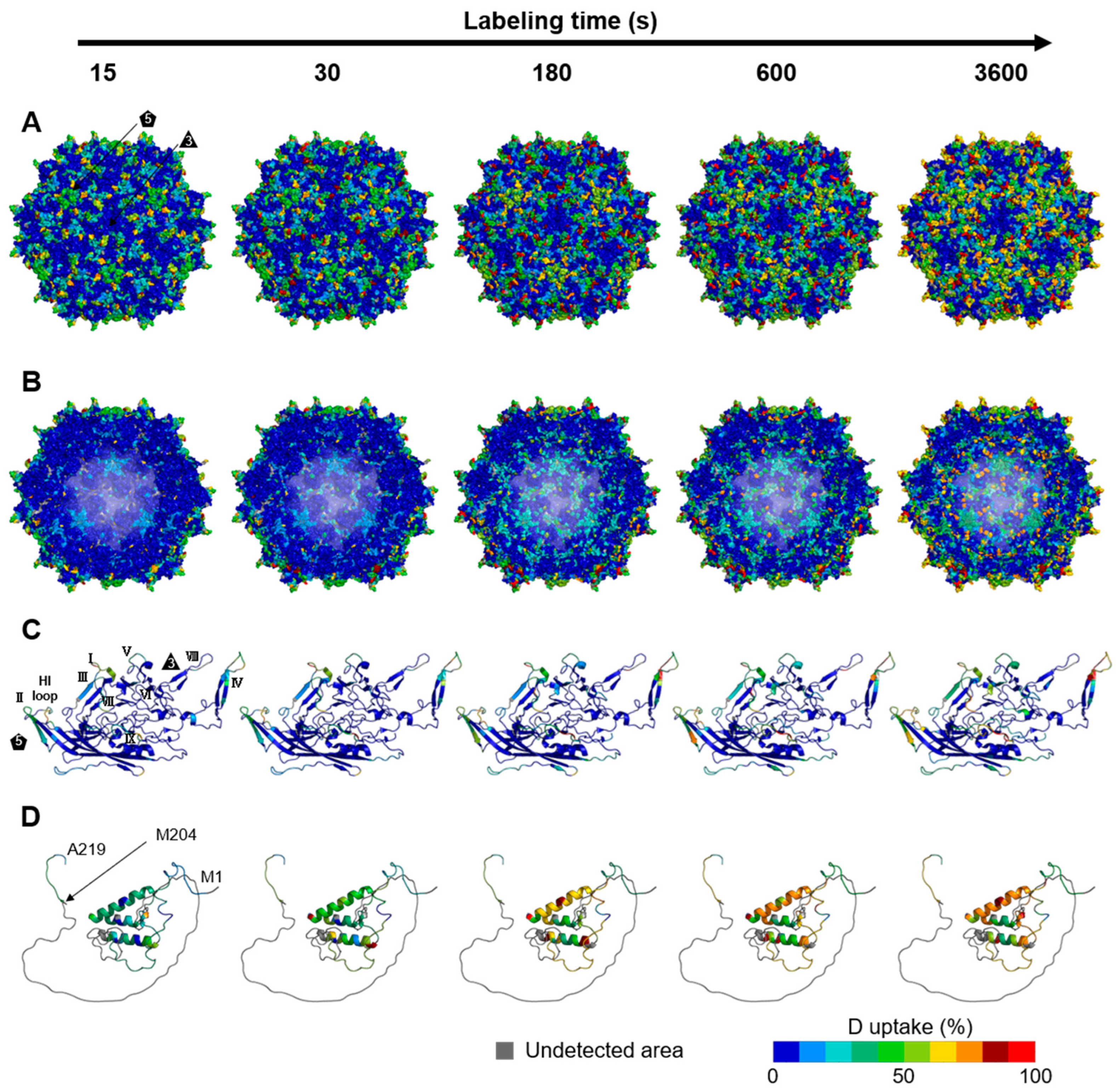 Viruses 16 00585 g002 Viruses 16 00585 g002