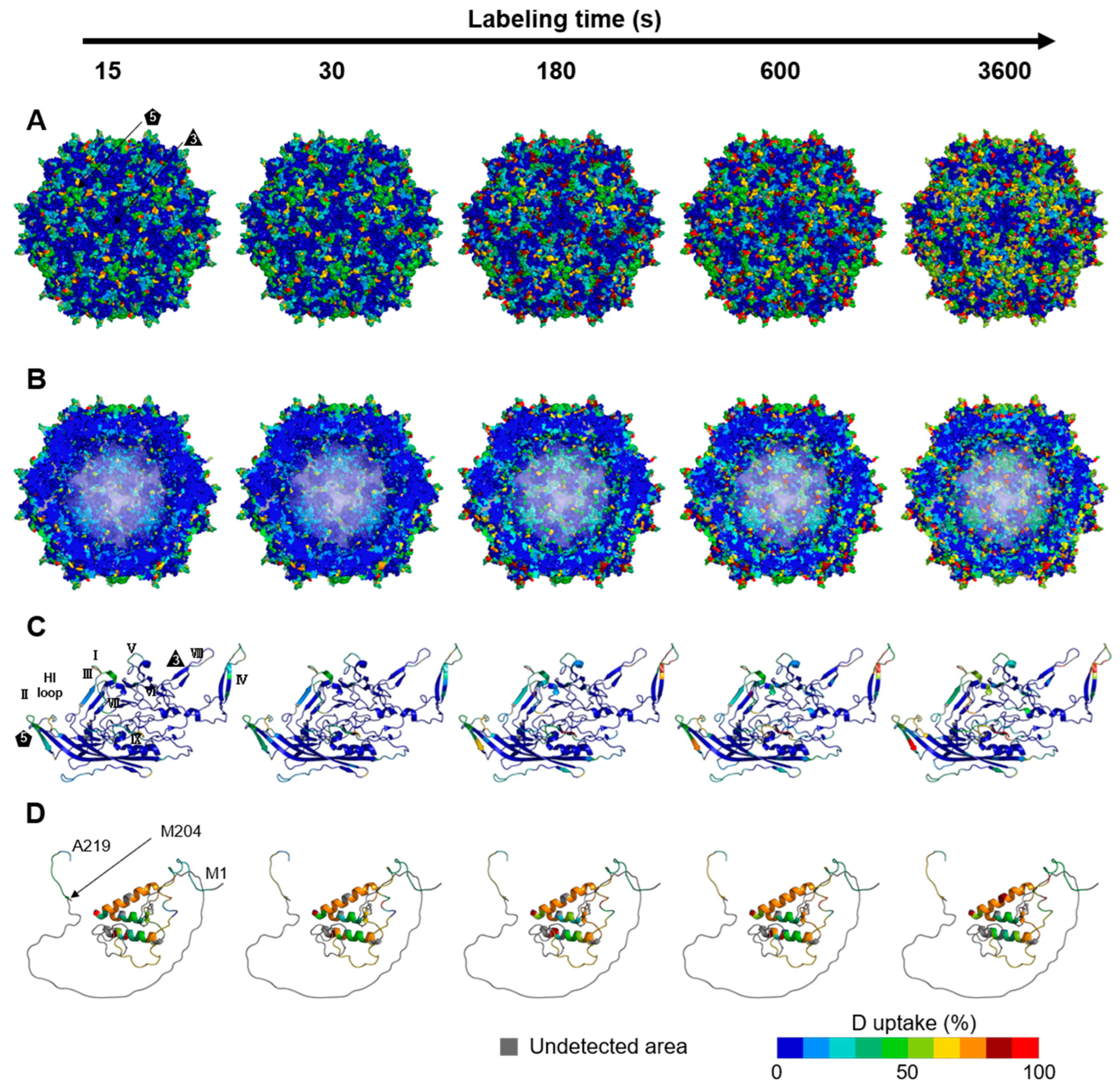 Viruses 16 00585 g003 Viruses 16 00585 g003