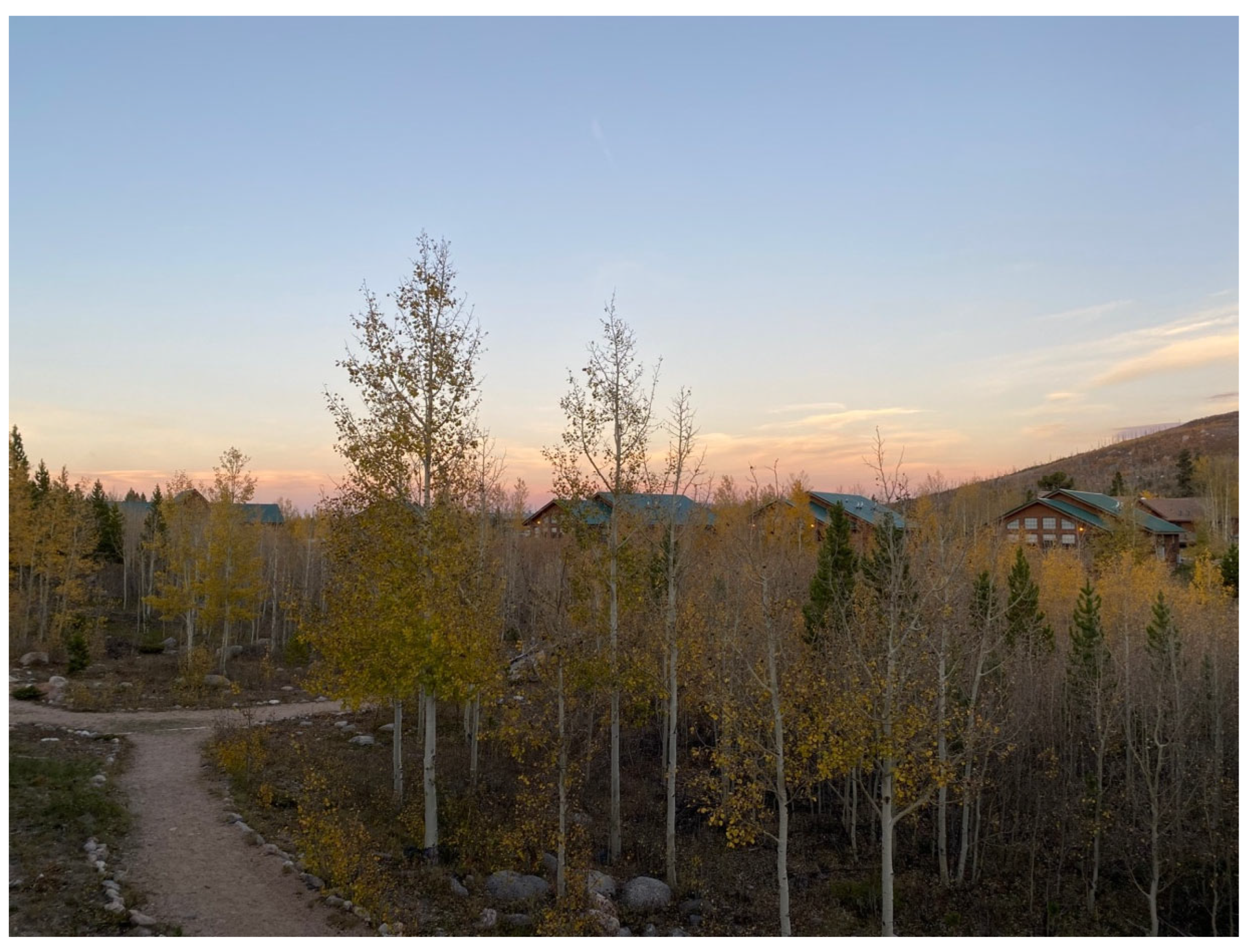 Viruses 16 00586 g002