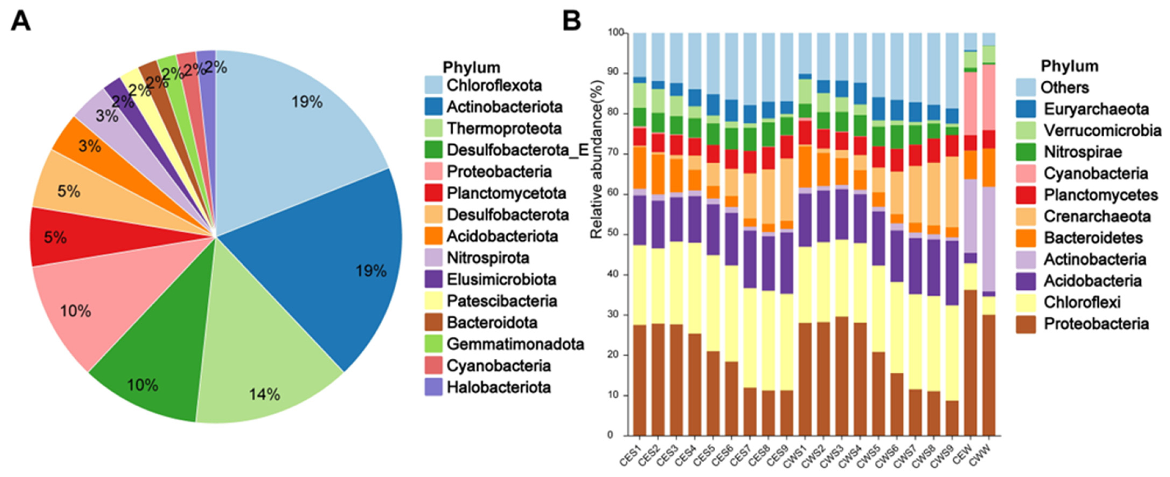 Viruses 16 00590 g001