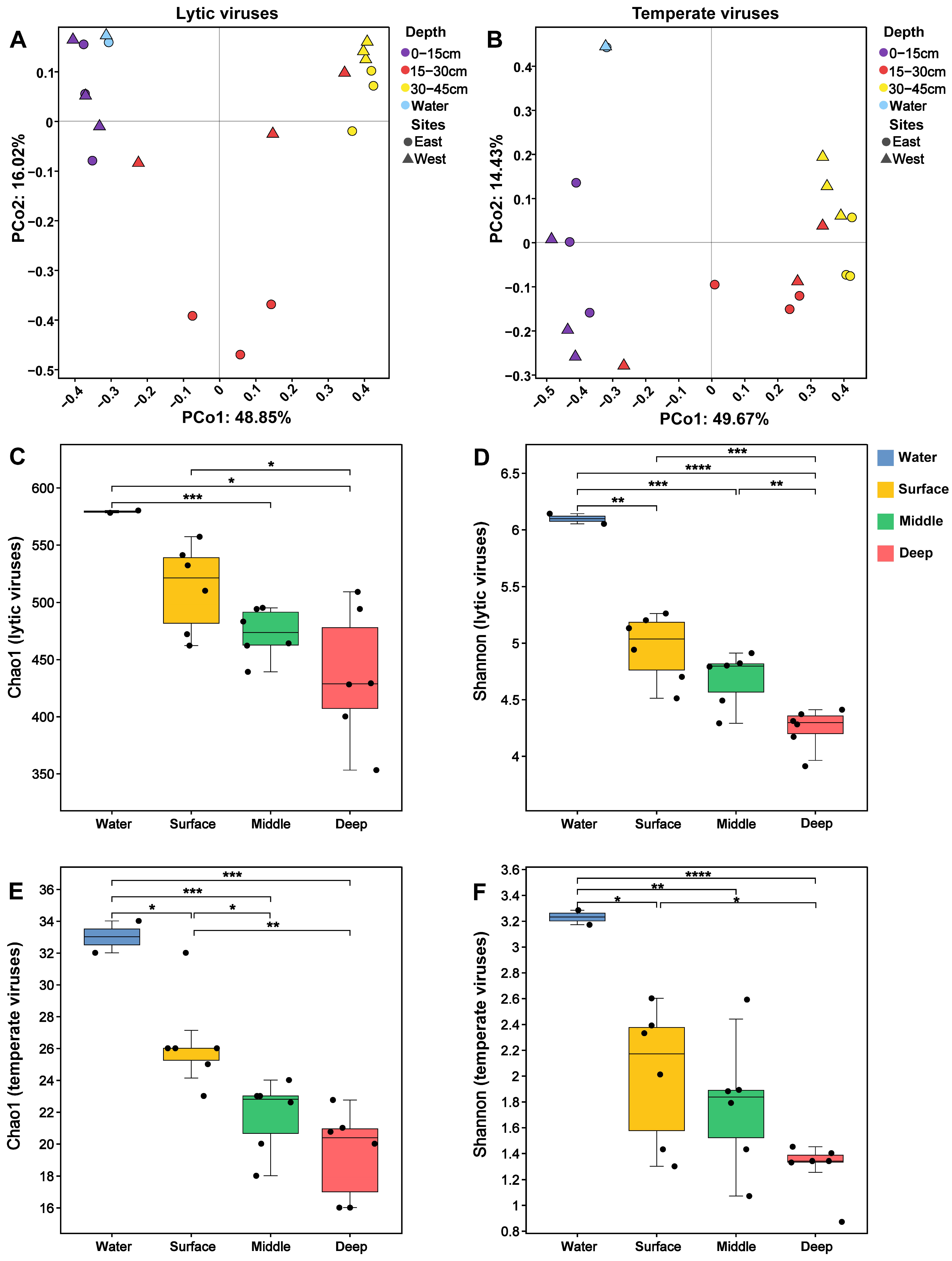 Viruses 16 00590 g003