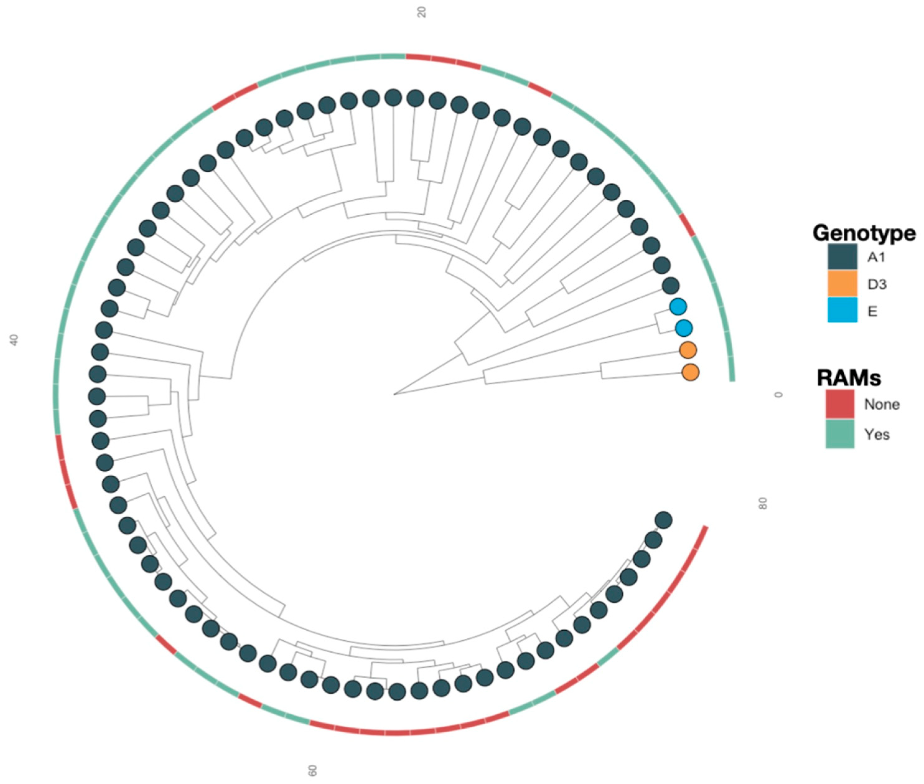 Viruses 16 00592 g002