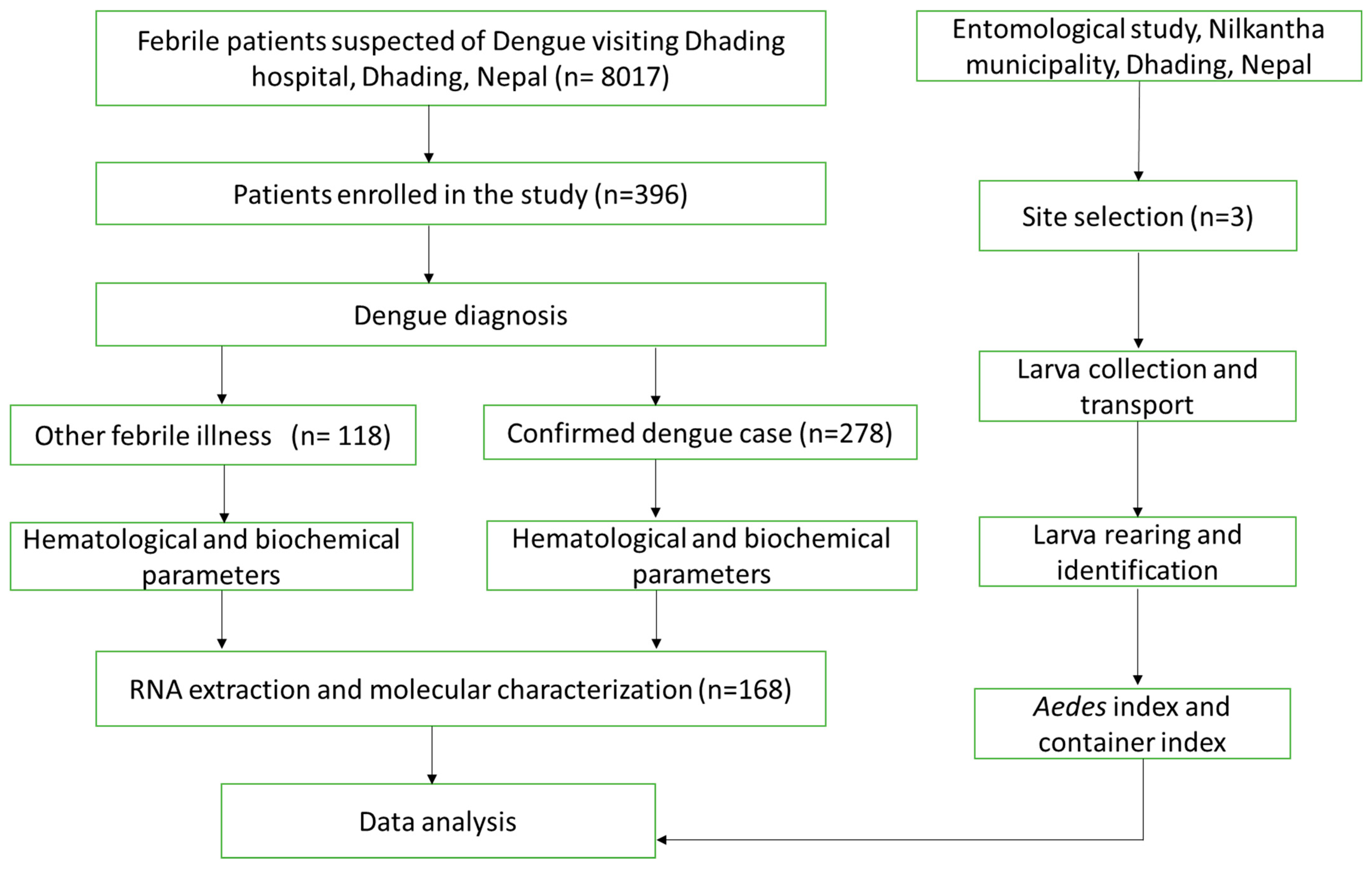 Viruses 16 00594 g002