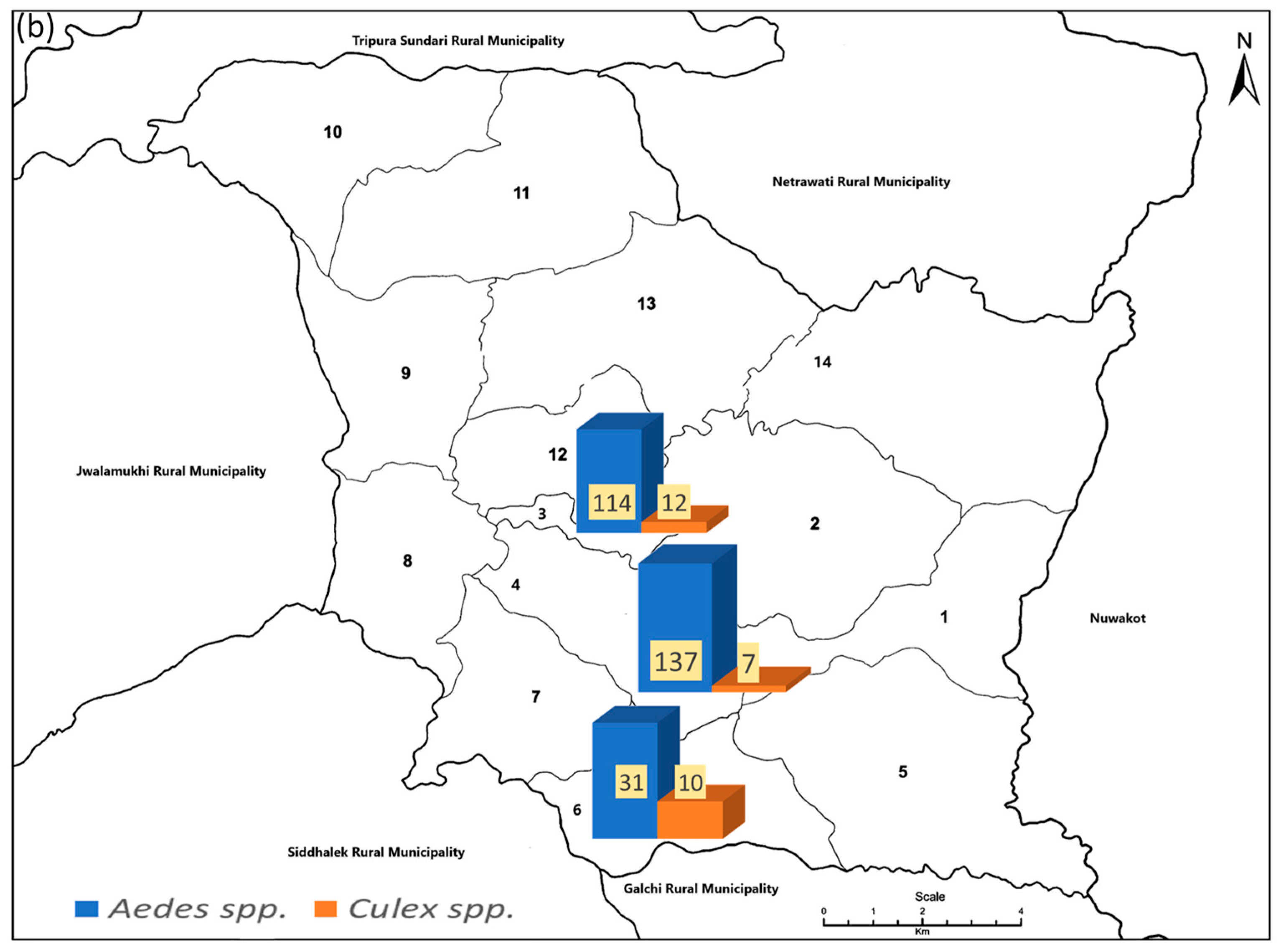 Viruses 16 00594 g006b