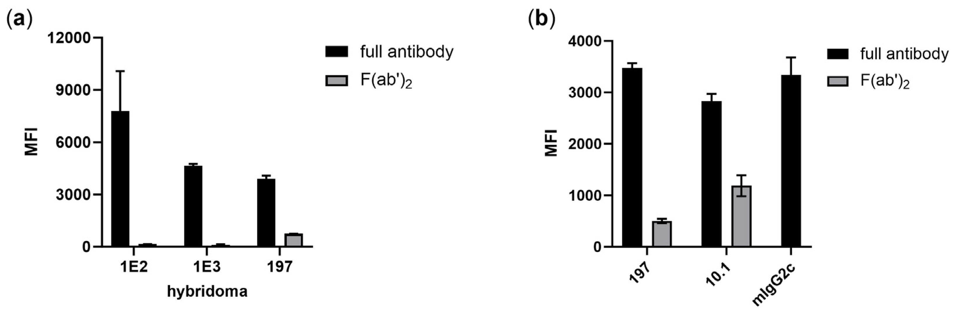 Viruses 16 00596 g001
