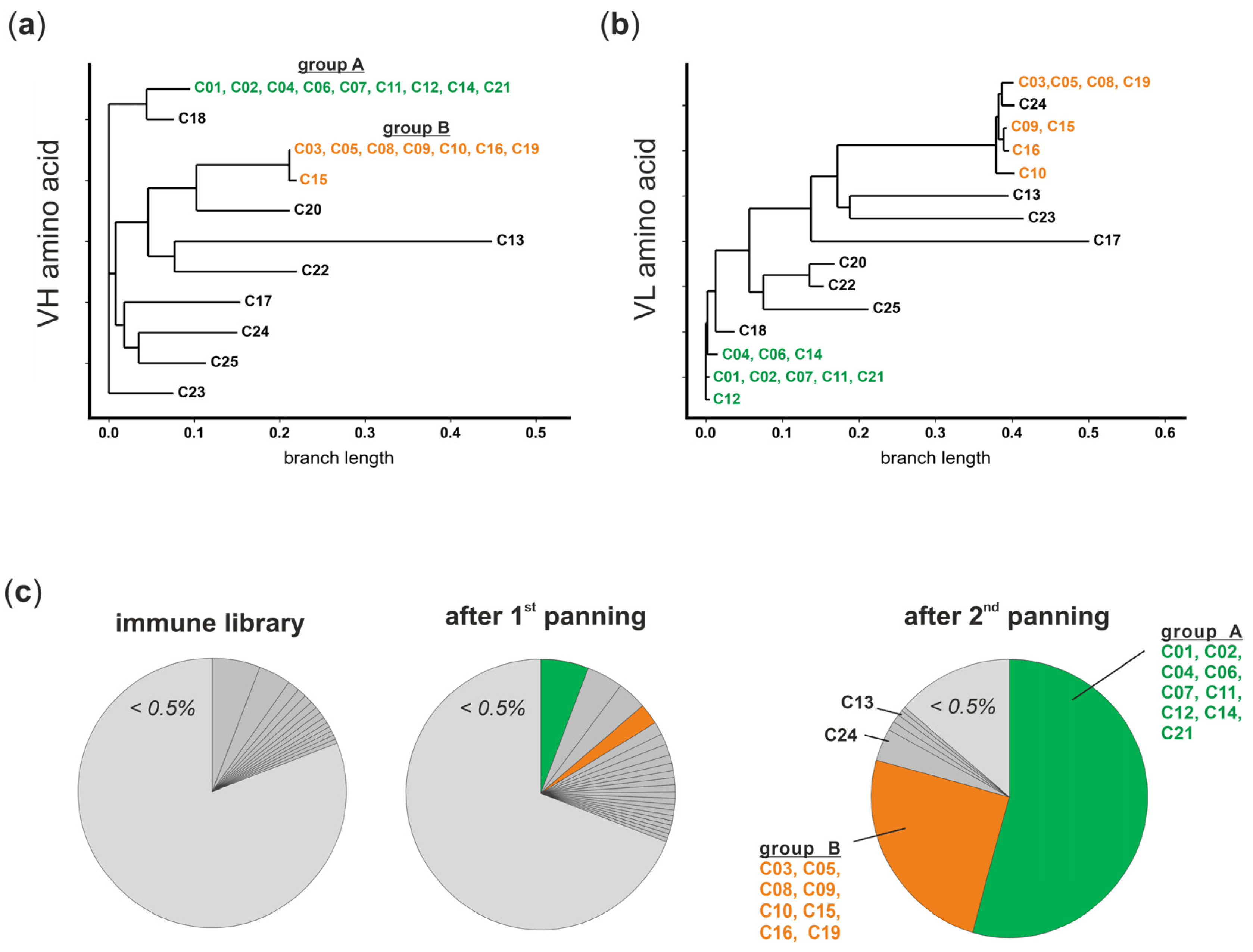Viruses 16 00596 g004