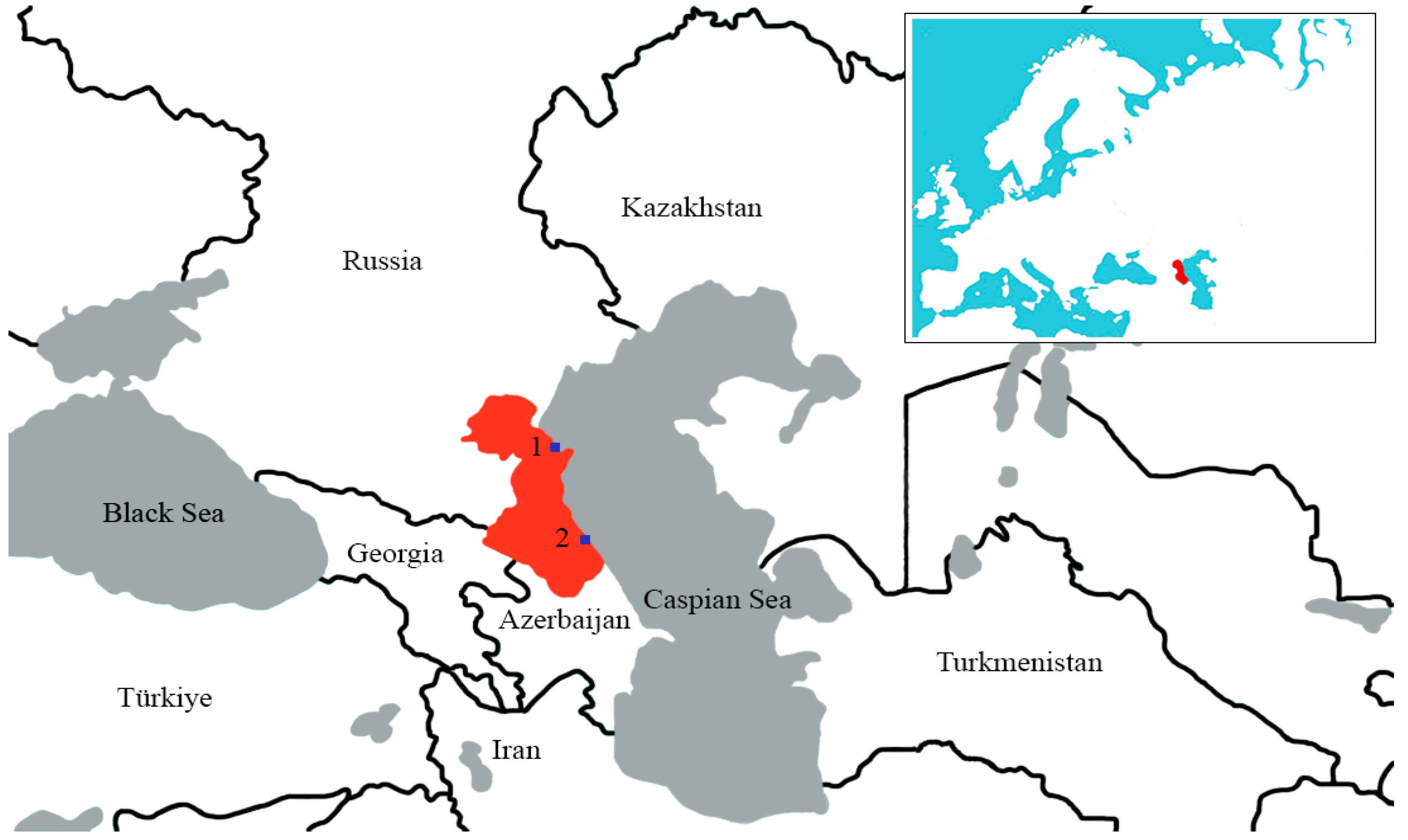 Viruses 16 00598 g001