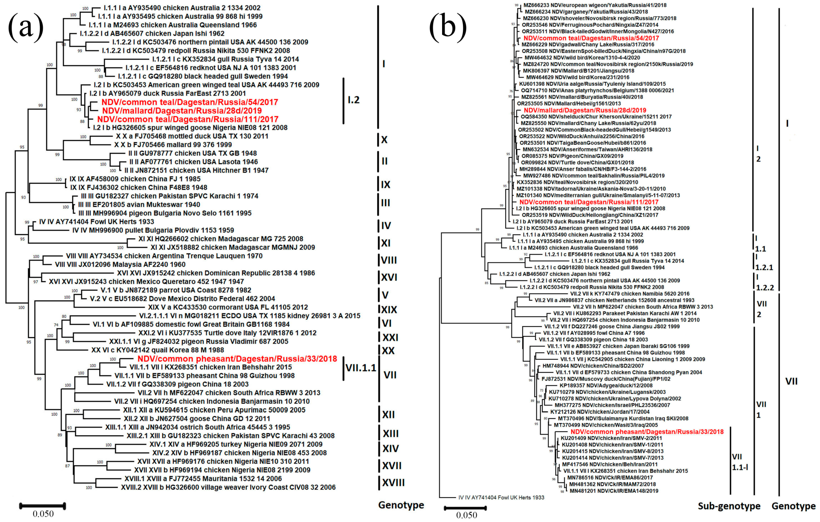 Viruses 16 00598 g003