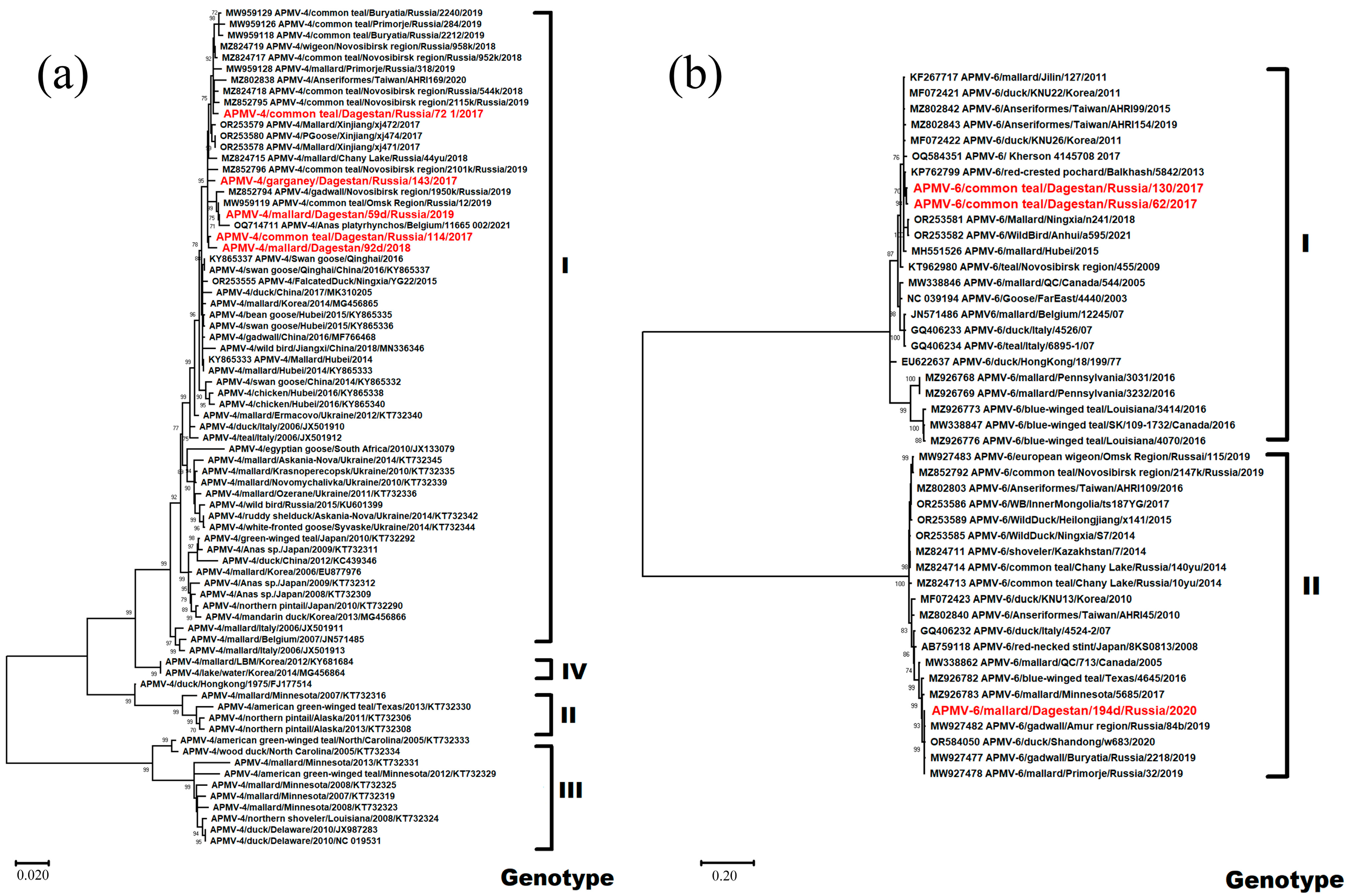 Viruses 16 00598 g004
