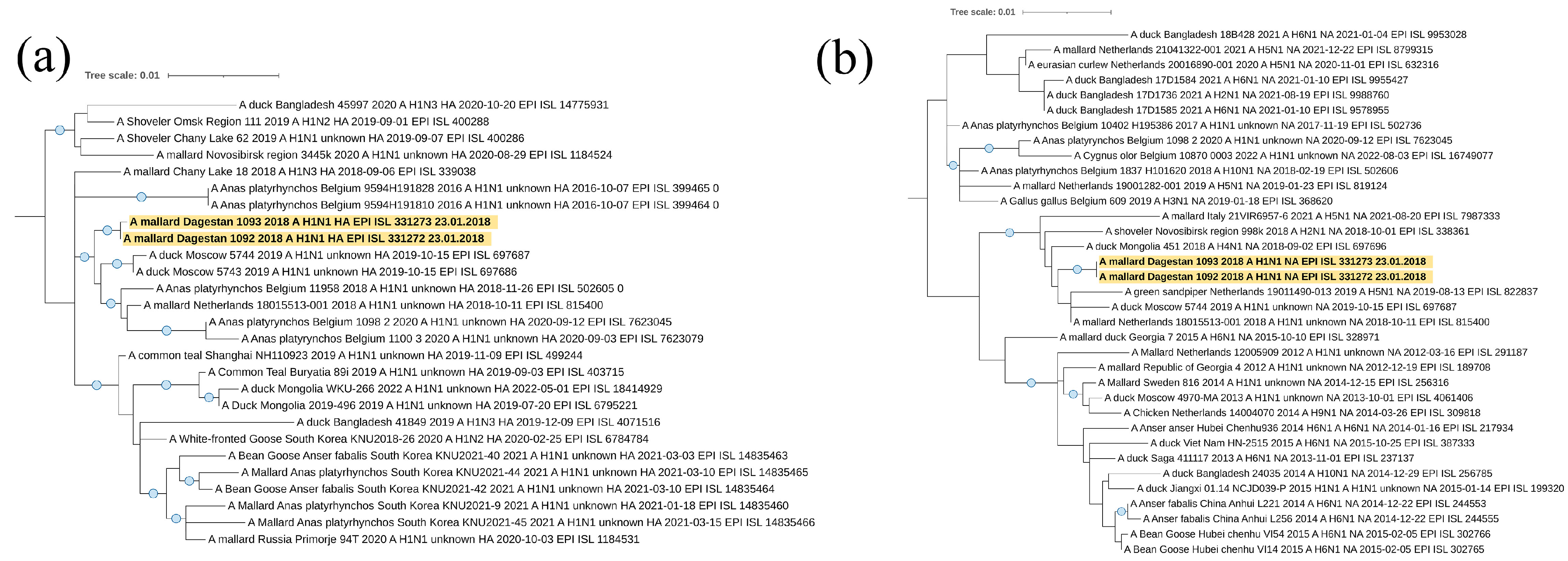 Viruses 16 00598 g005