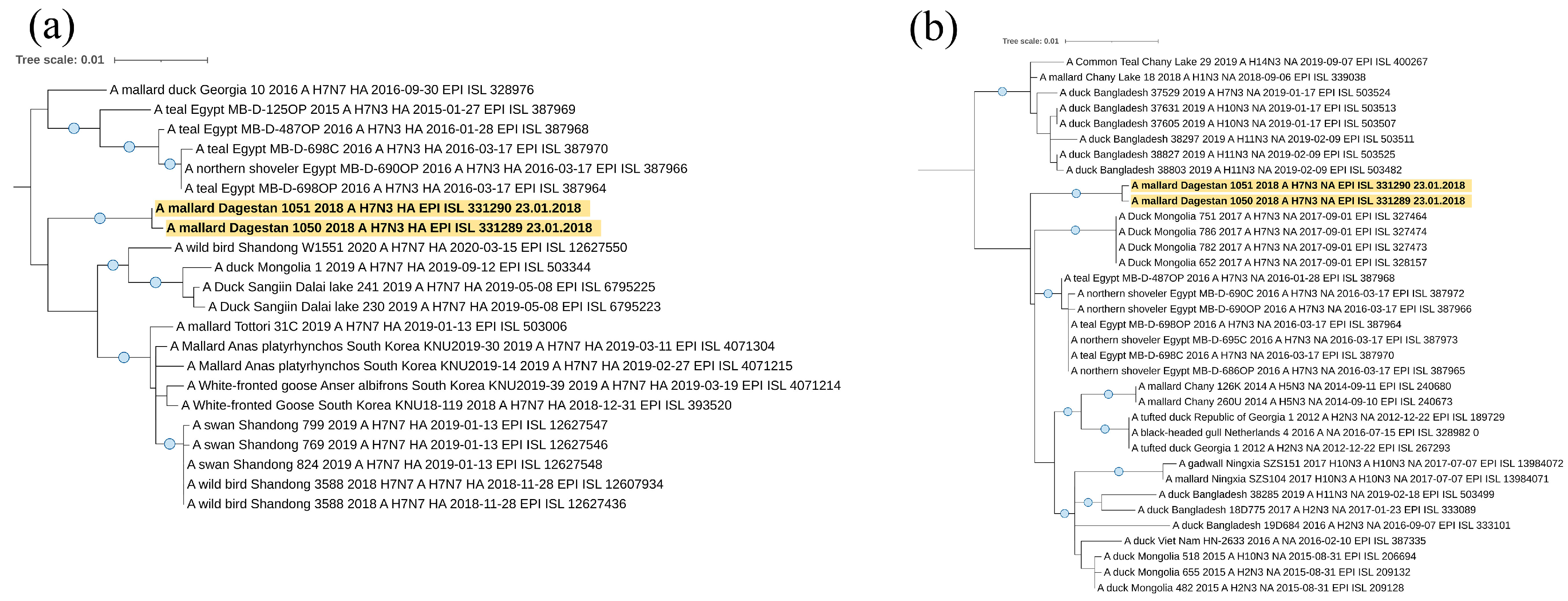 Viruses 16 00598 g006
