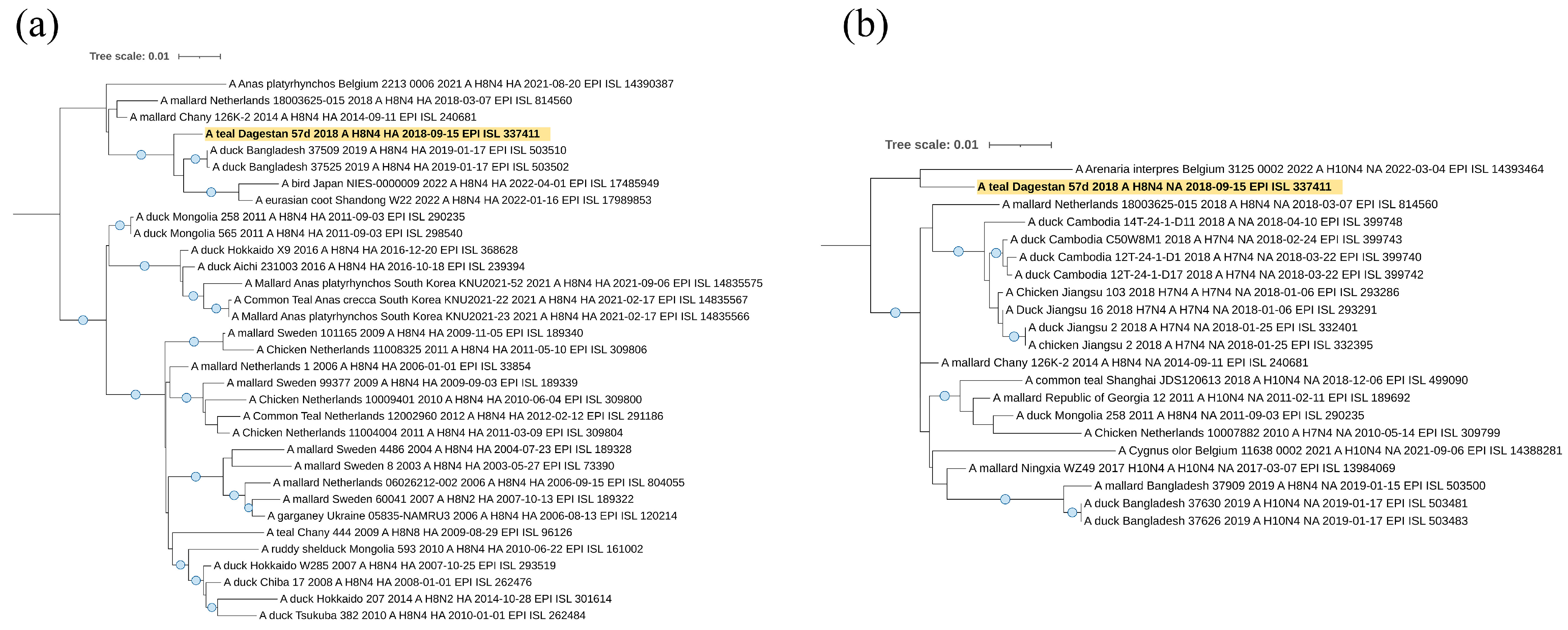 Viruses 16 00598 g007