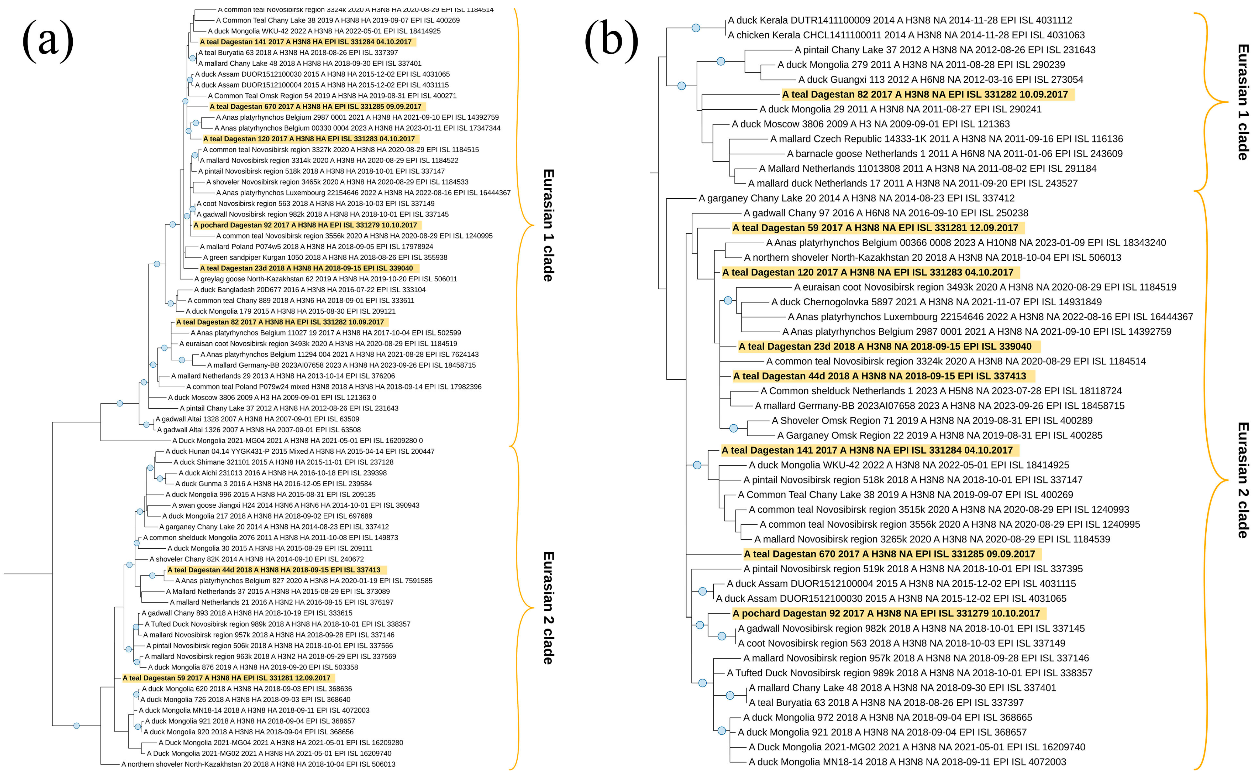 Viruses 16 00598 g009