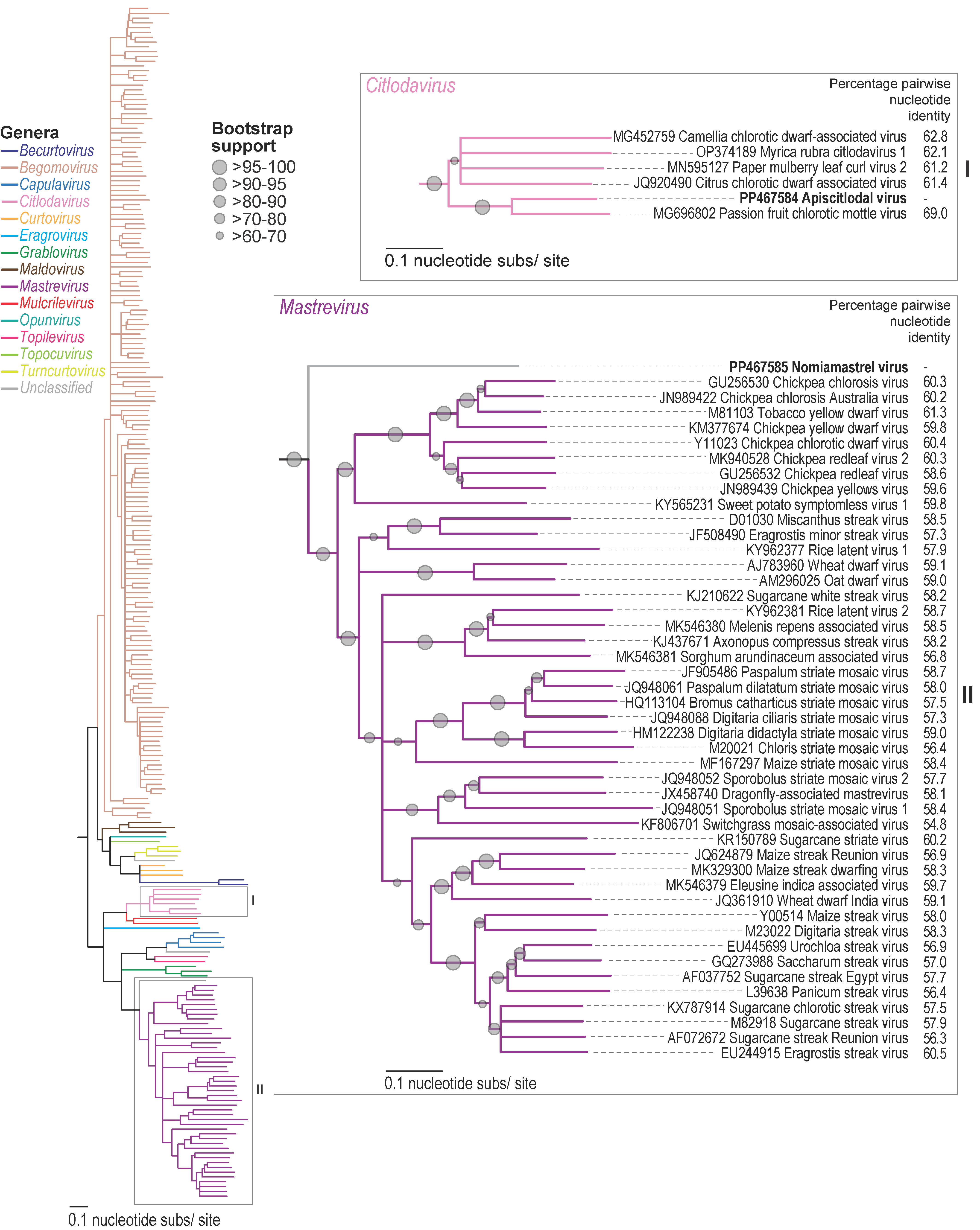 Viruses 16 00602 g002 Viruses 16 00602 g002