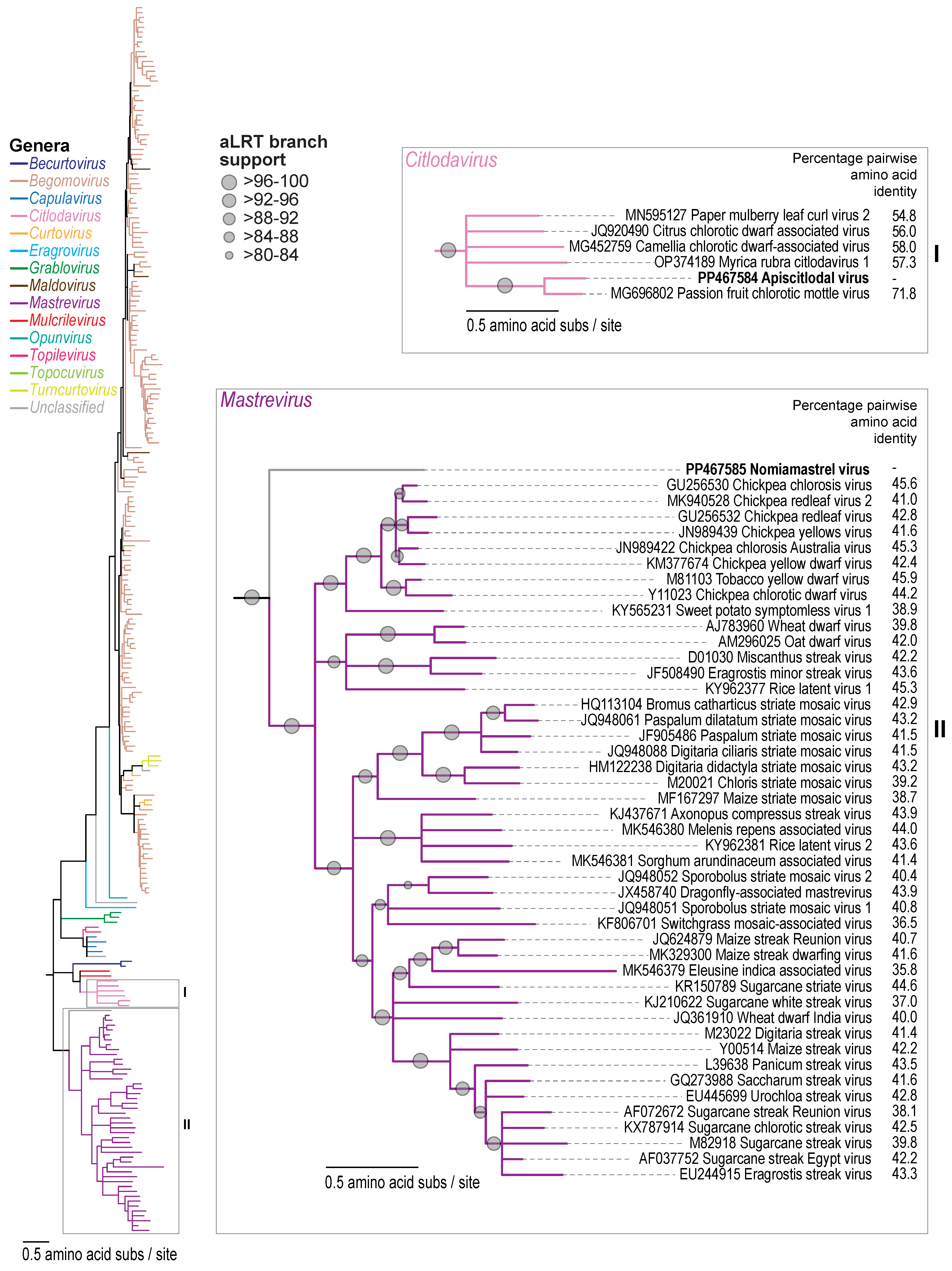 Viruses 16 00602 g003 Viruses 16 00602 g003