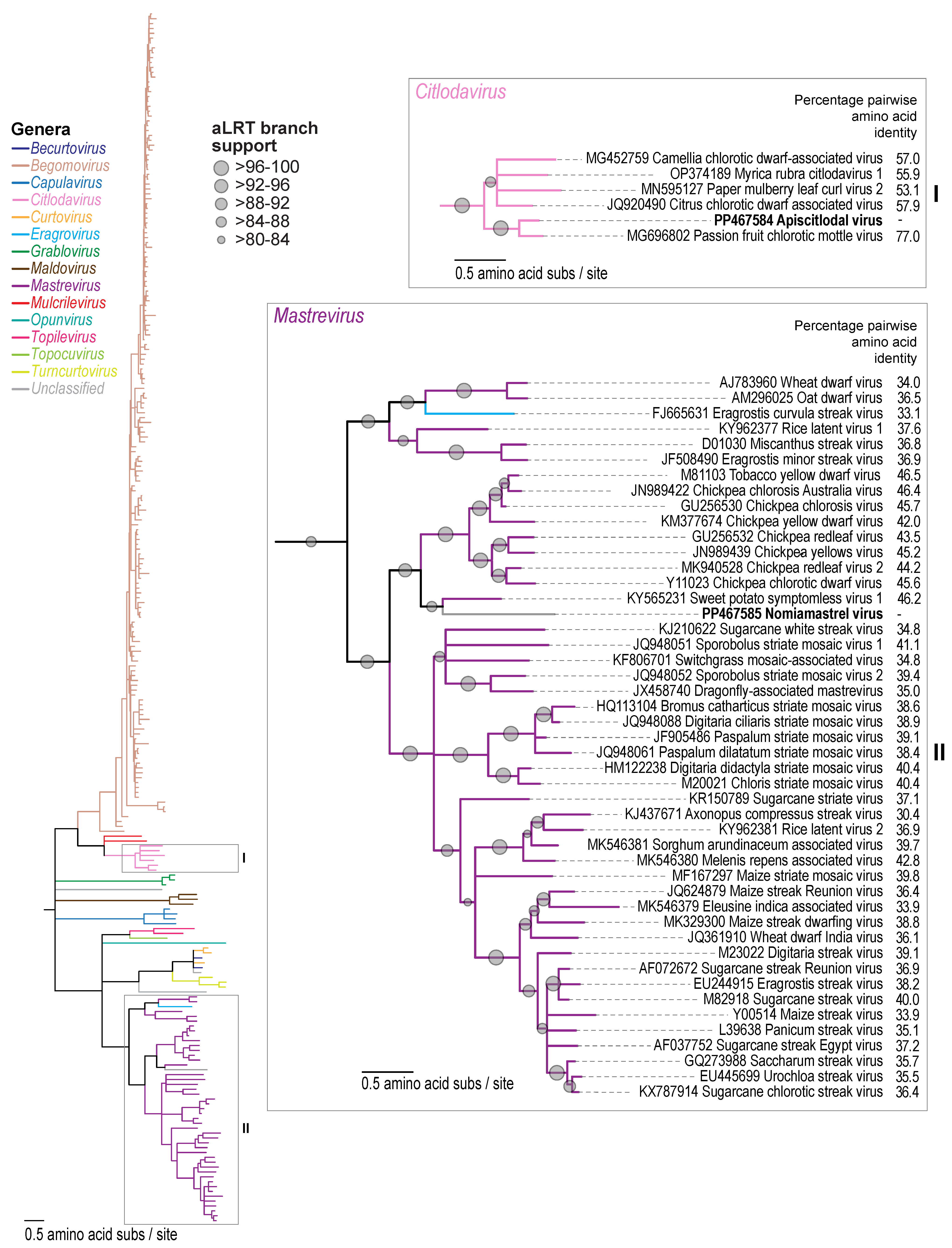 Viruses 16 00602 g004 Viruses 16 00602 g004