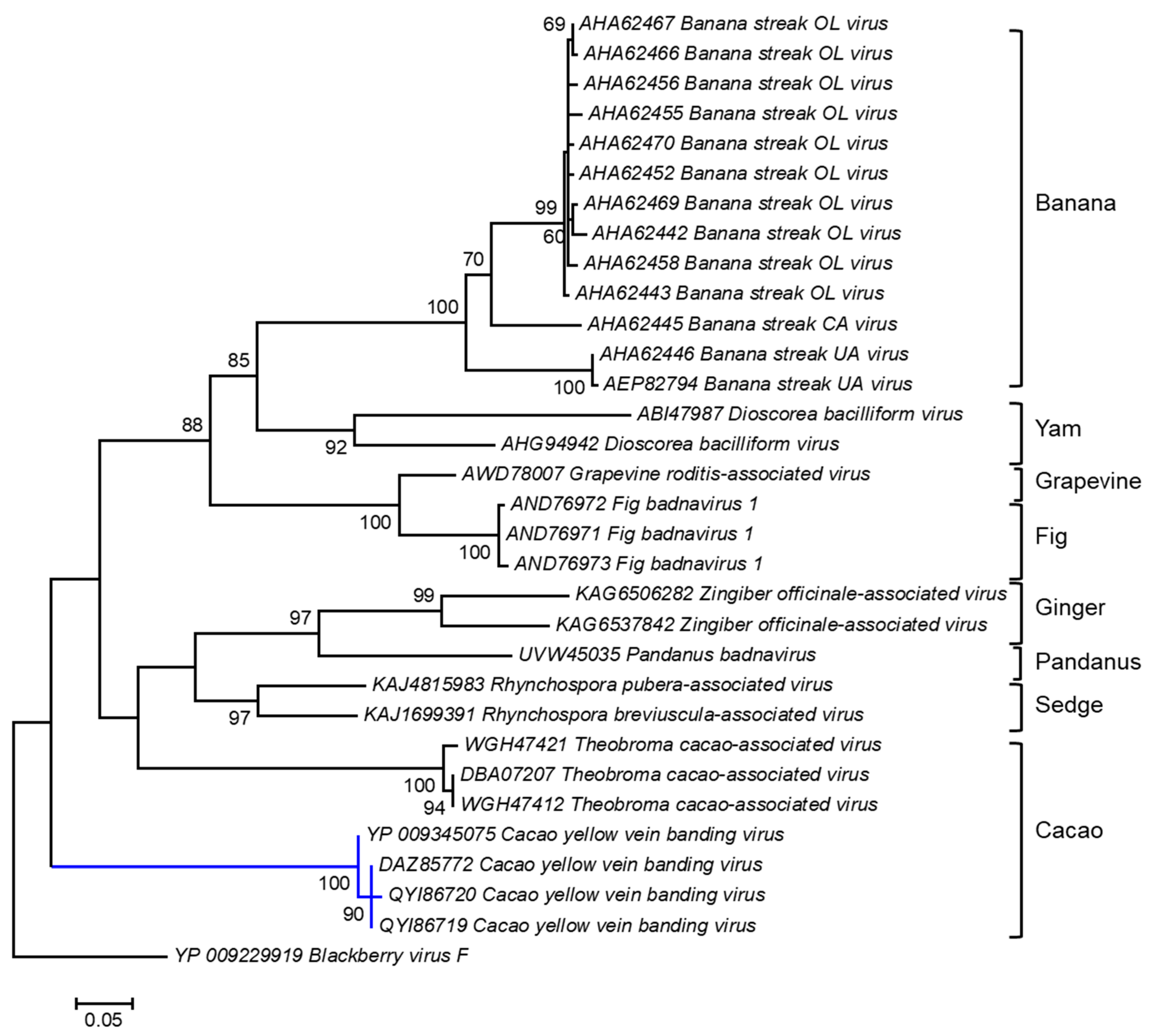 Viruses 16 00603 g002 Viruses 16 00603 g002