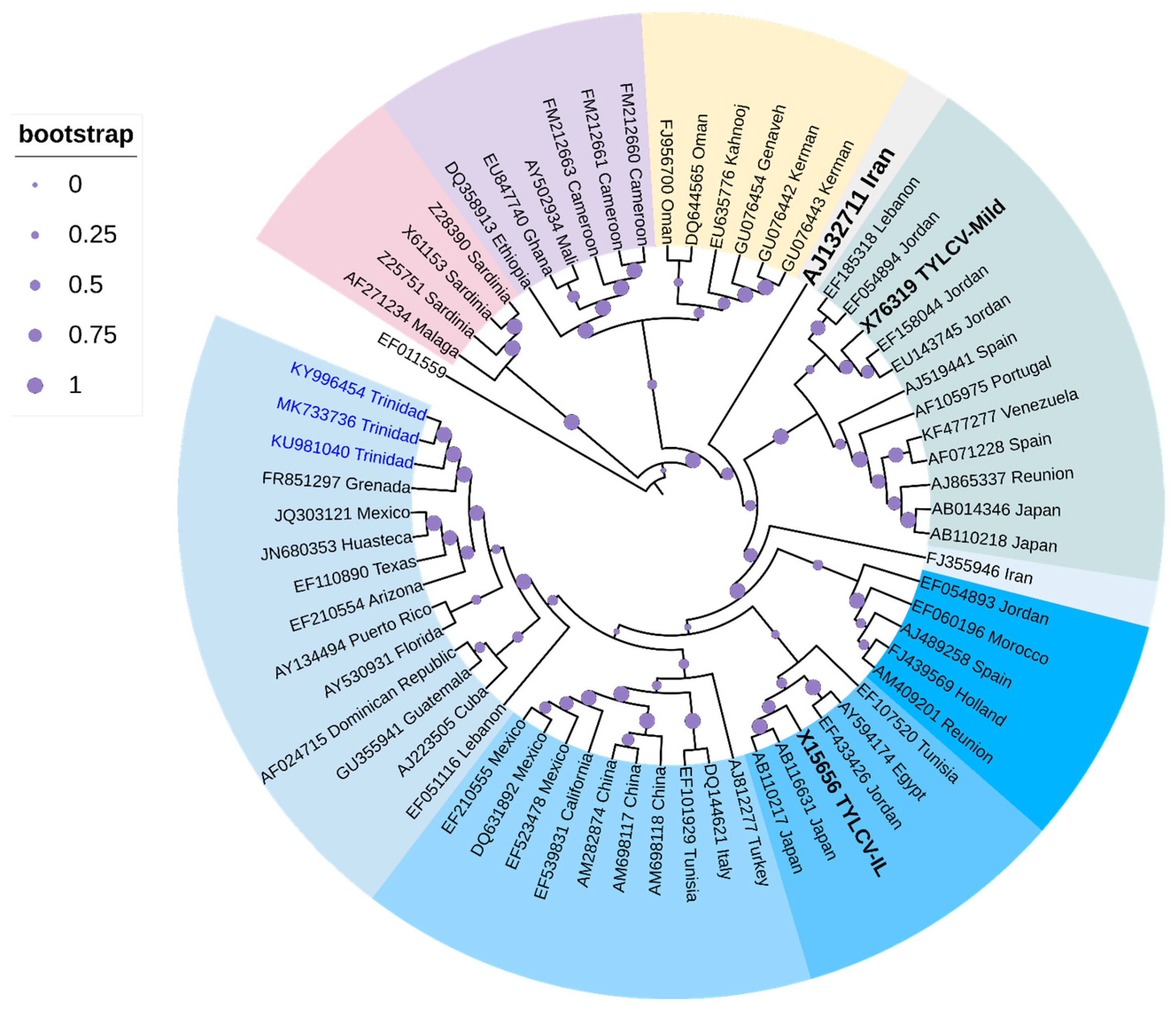 Viruses 16 00603 g004 Viruses 16 00603 g004