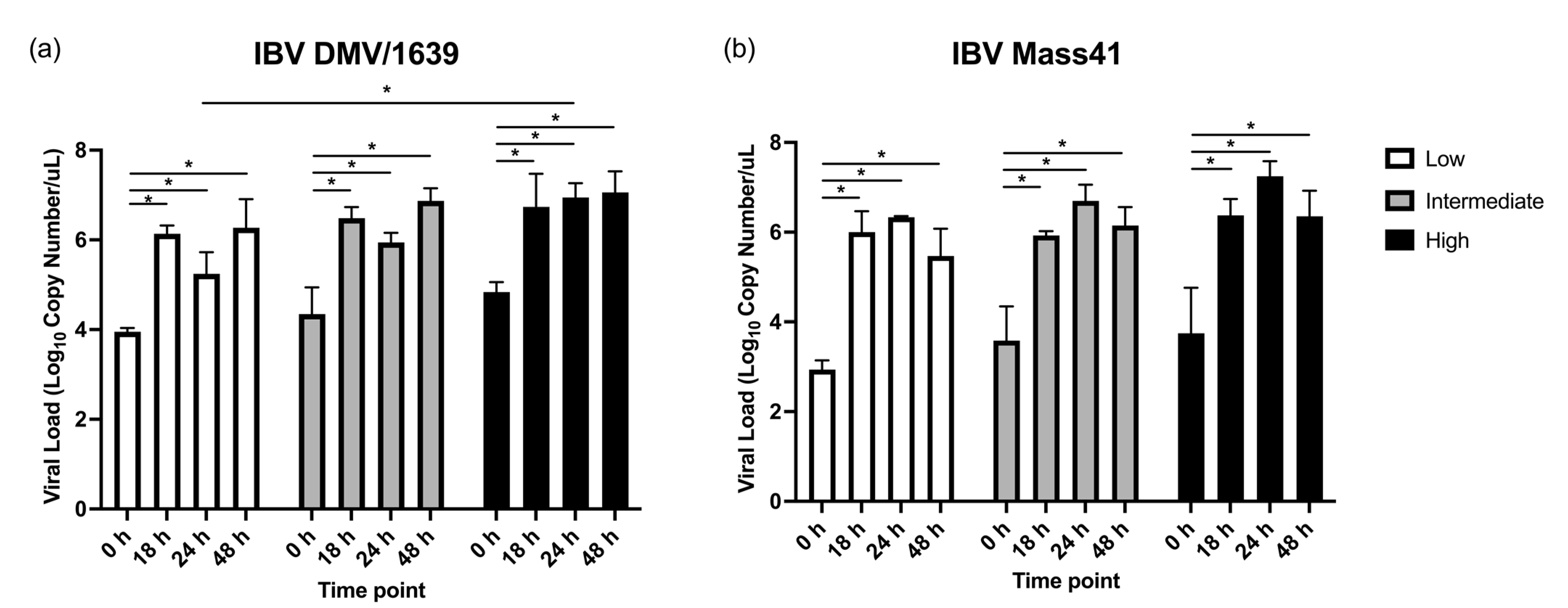 Viruses 16 00605 g001